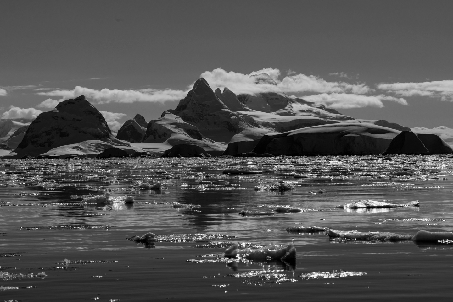 Sea ice