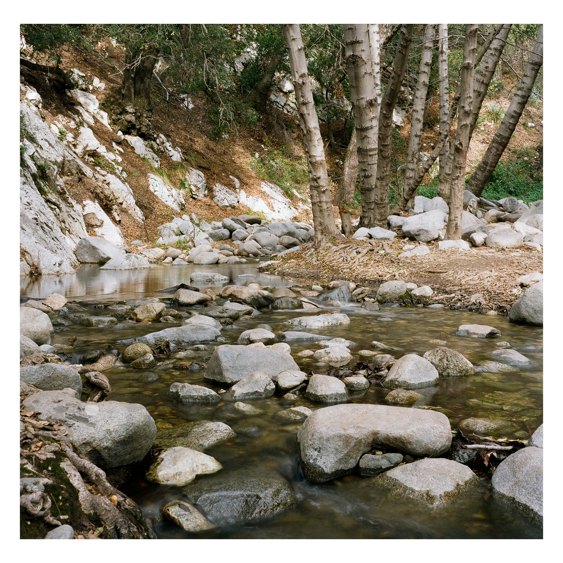 Los Angeles National Forest