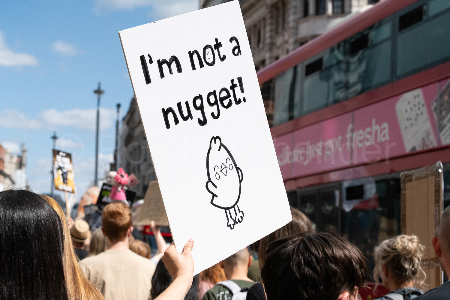 National Animal Rights March © Ron Fassbender