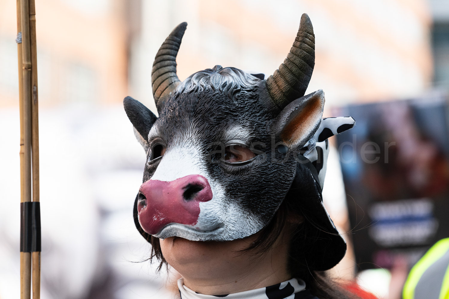 National Animal Rights March © Ron Fassbender