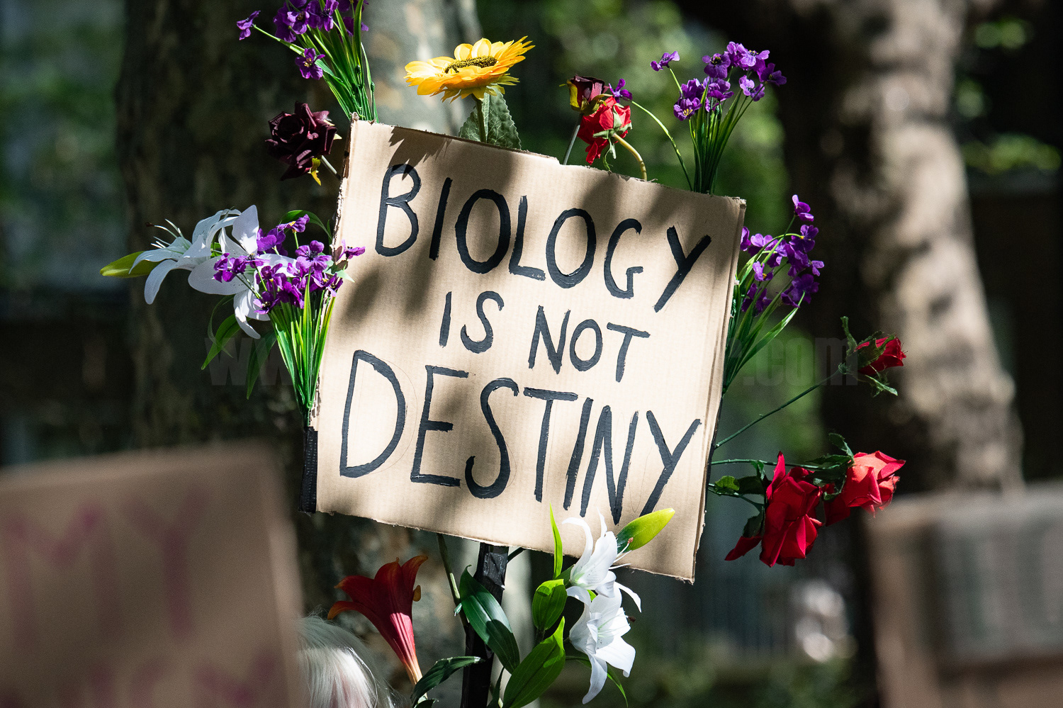 Trans rights demo, St James's Park, London © Ron Fassbender