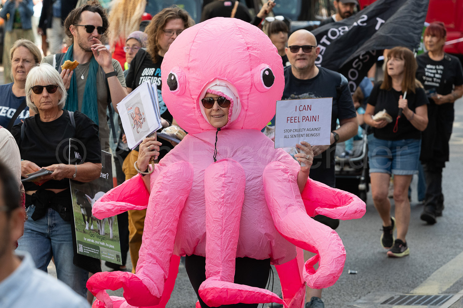 National Animal Rights March © Ron Fassbender