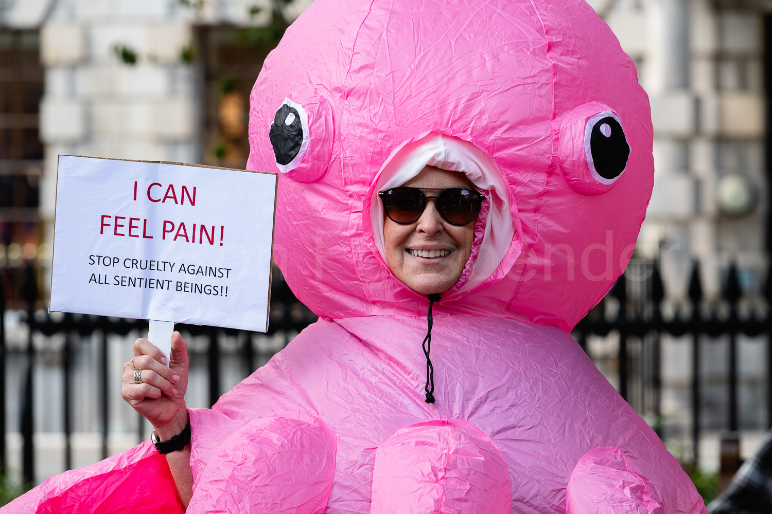 National Animal Rights March © Ron Fassbender