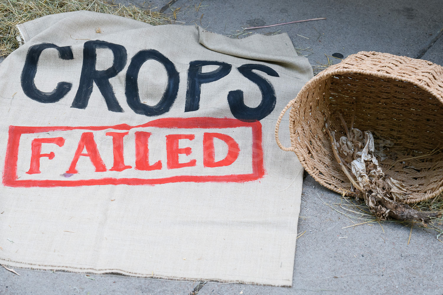 Stop Rosebank protest © Ron Fassbender