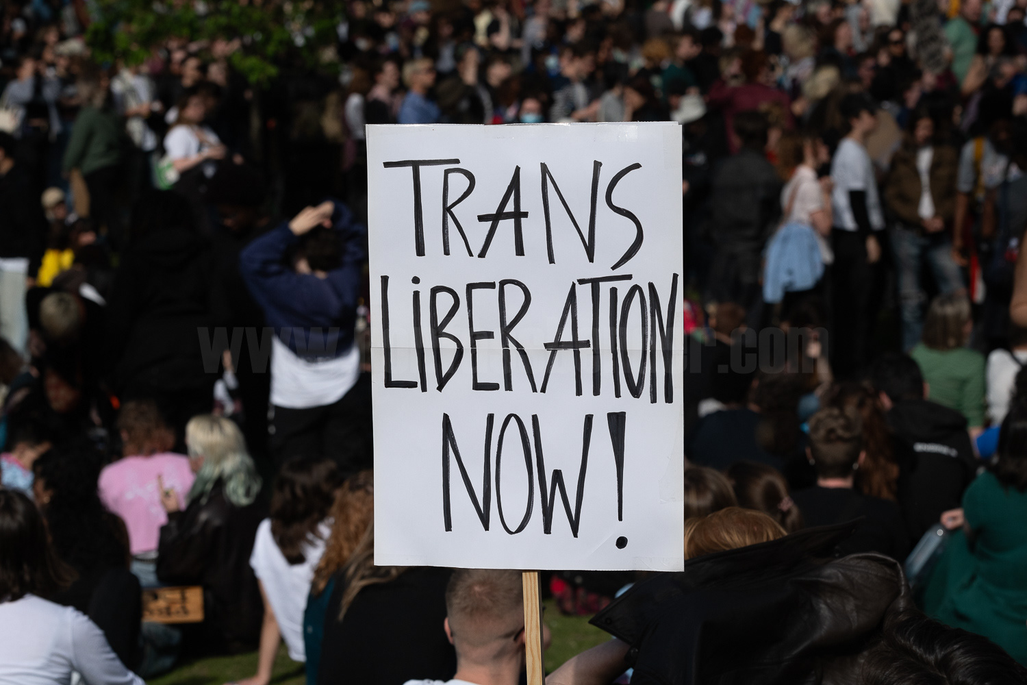 Trans rights demo, St James's Park, London © Ron Fassbender