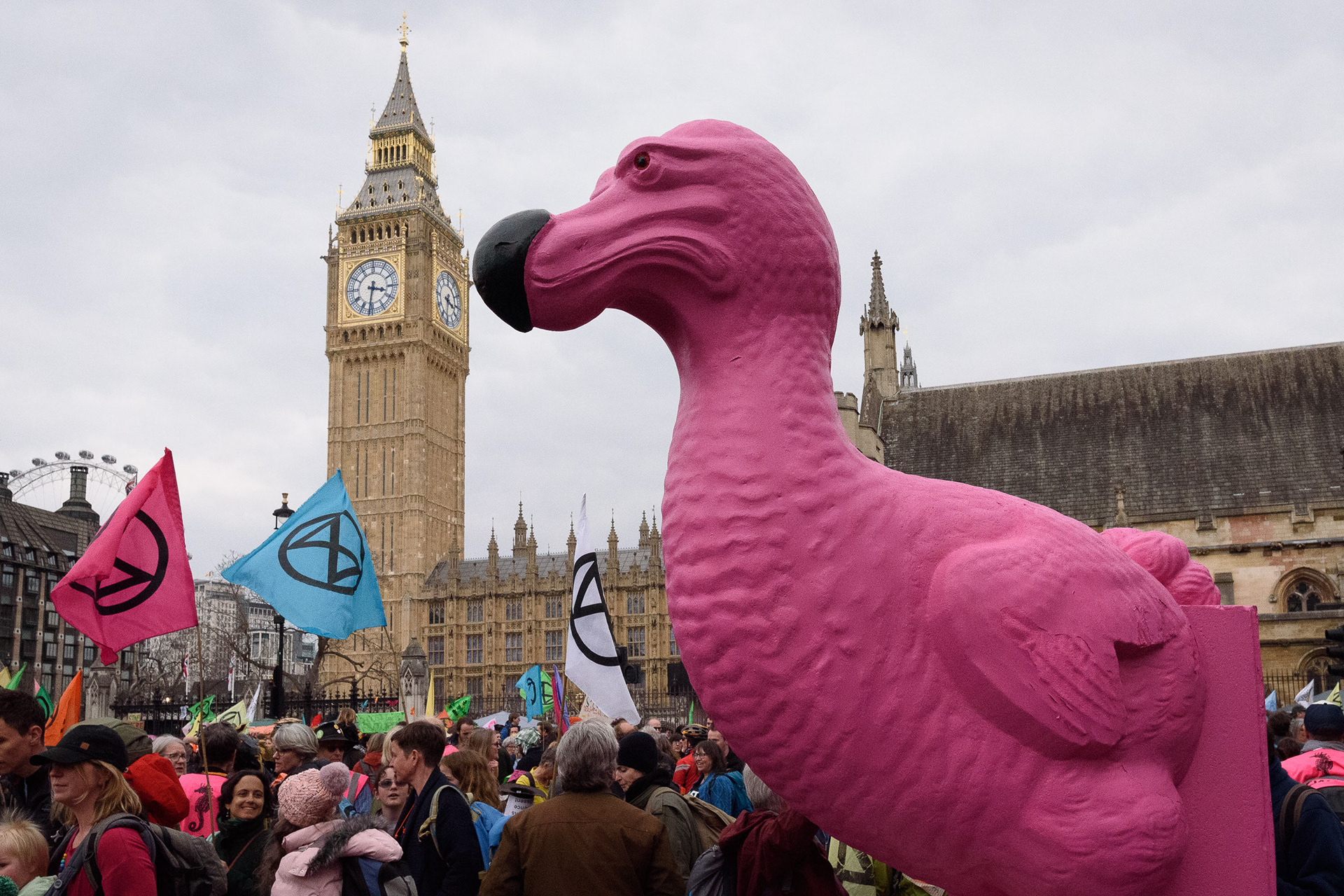 Giant pink Dodo and Big Ben © Ron Fassbender