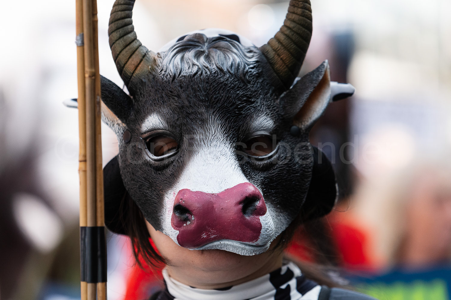 National Animal Rights March © Ron Fassbender