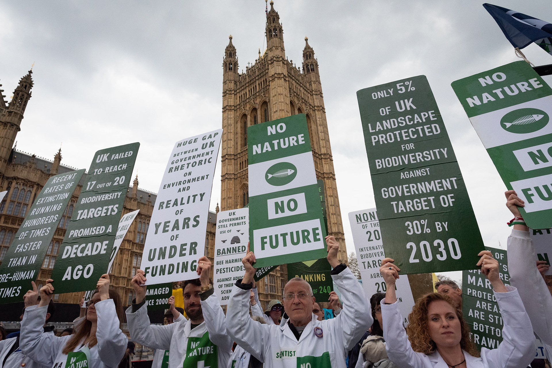 Scientist warn of biodiversity loss © Ron Fassbender