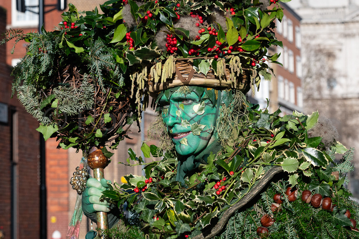 The Holly Man © Ron Fassbender