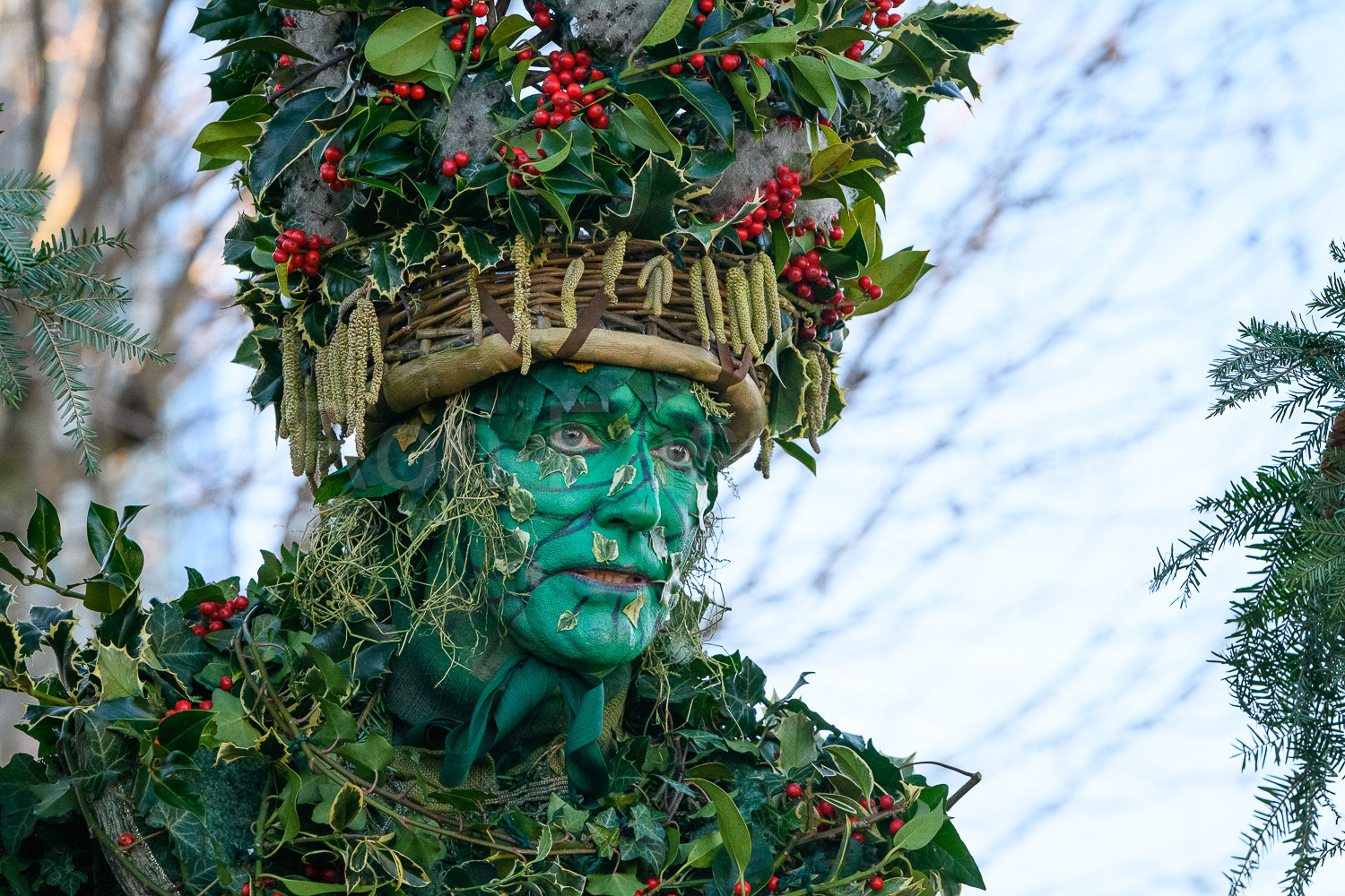 The Holly Man © Ron Fassbender