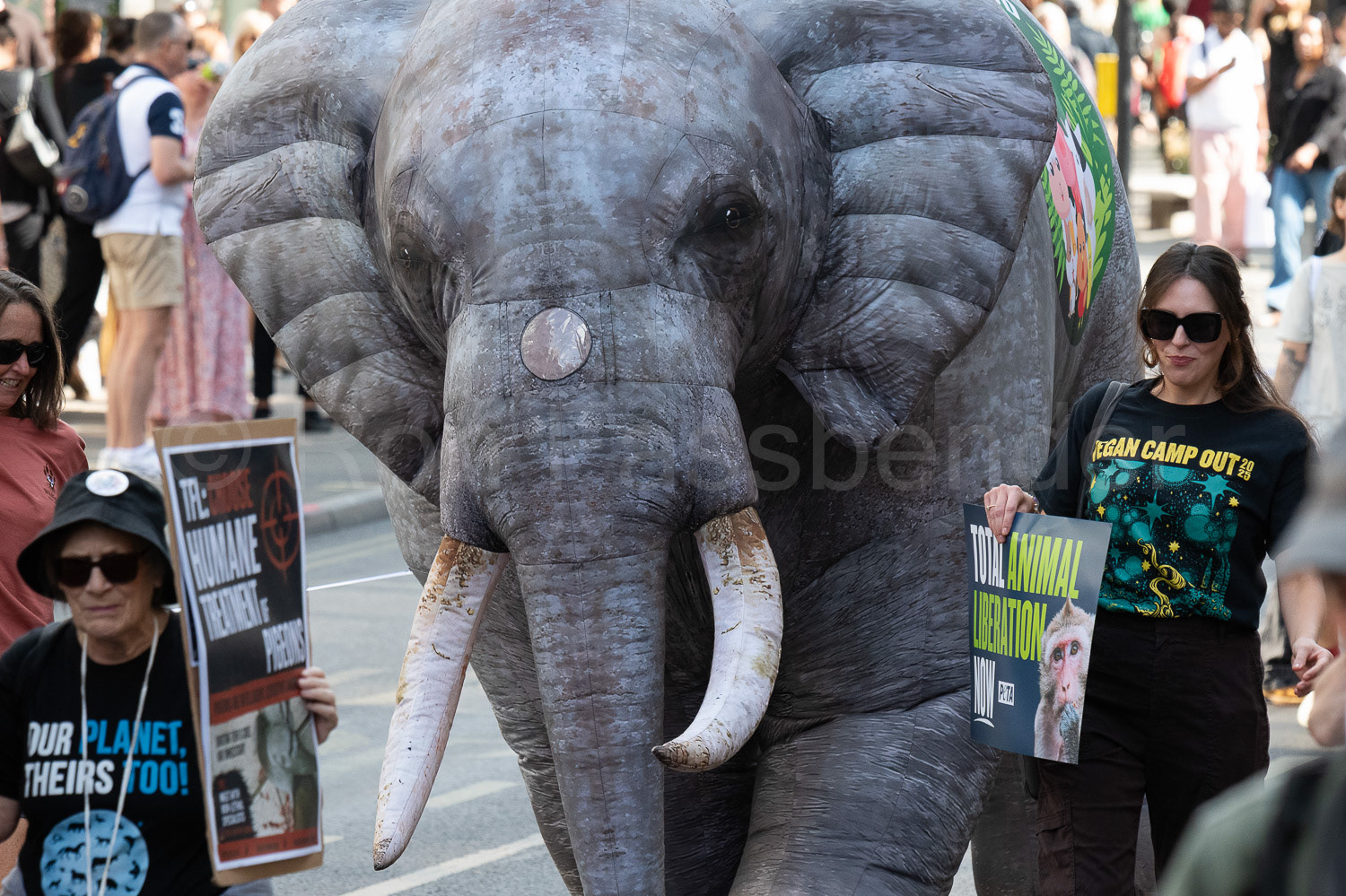 National Animal Rights March © Ron Fassbender