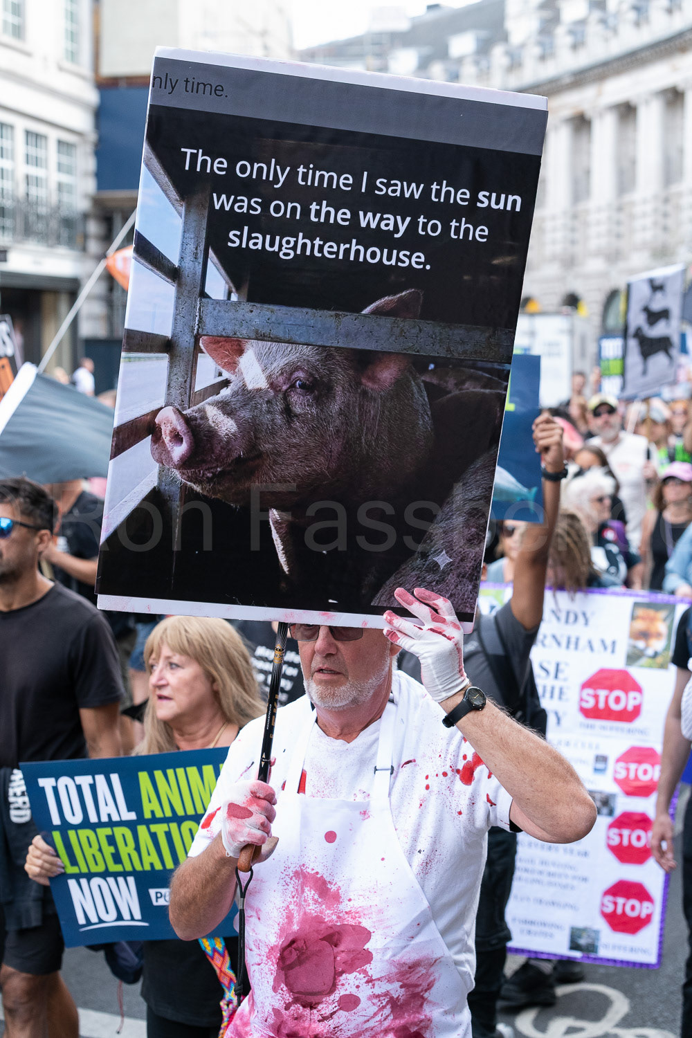 National Animal Rights March © Ron Fassbender