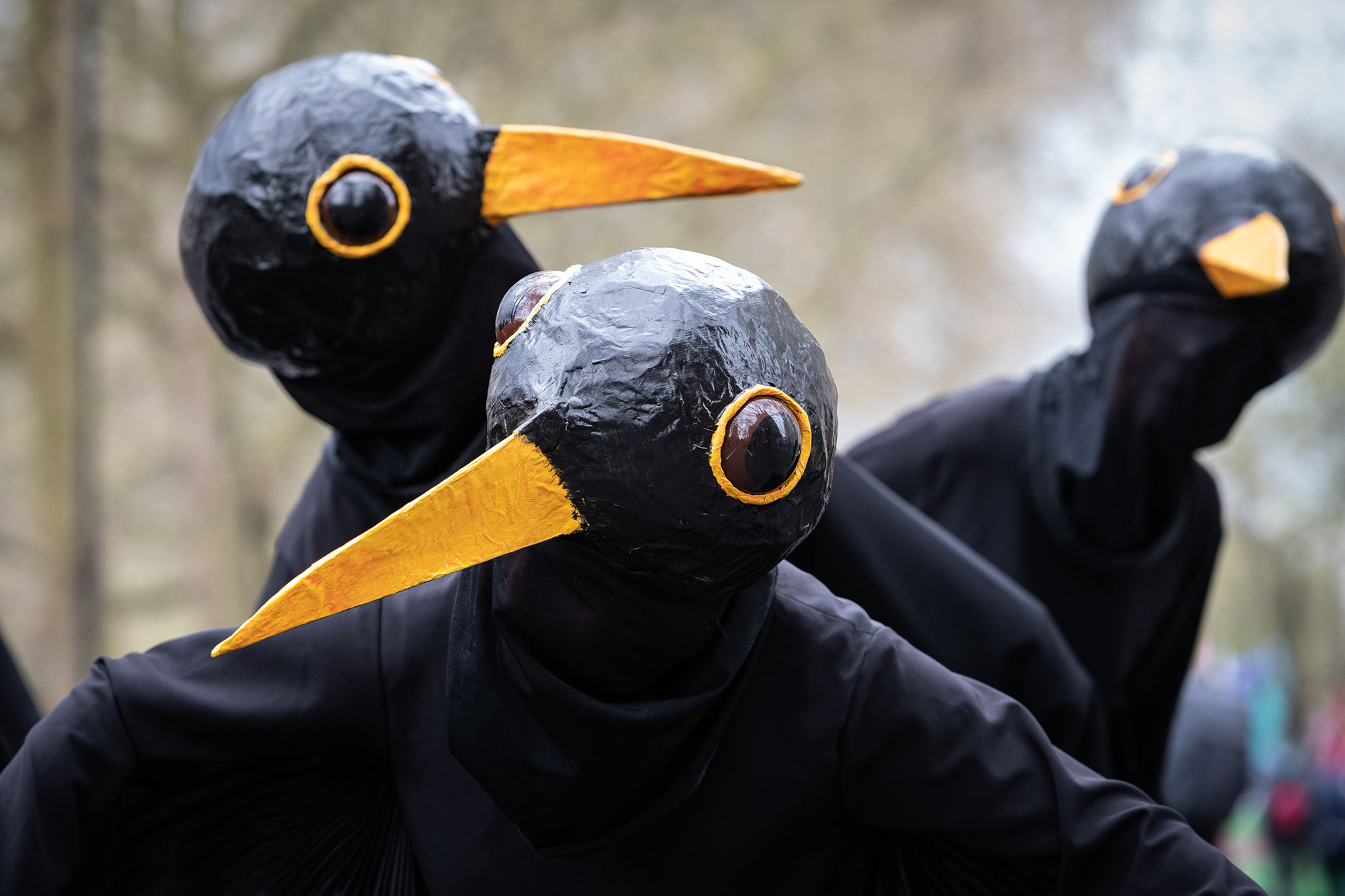 Blackbirds © Ron Fassbender