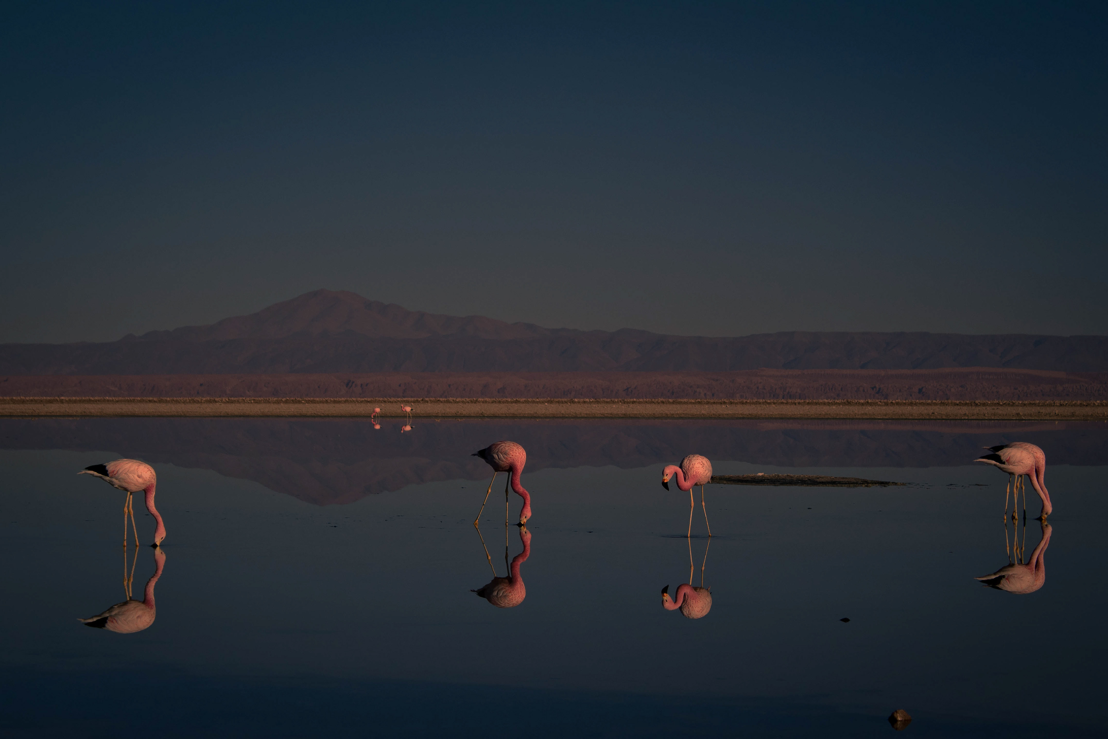 Chile - San Pedro de Atacama
