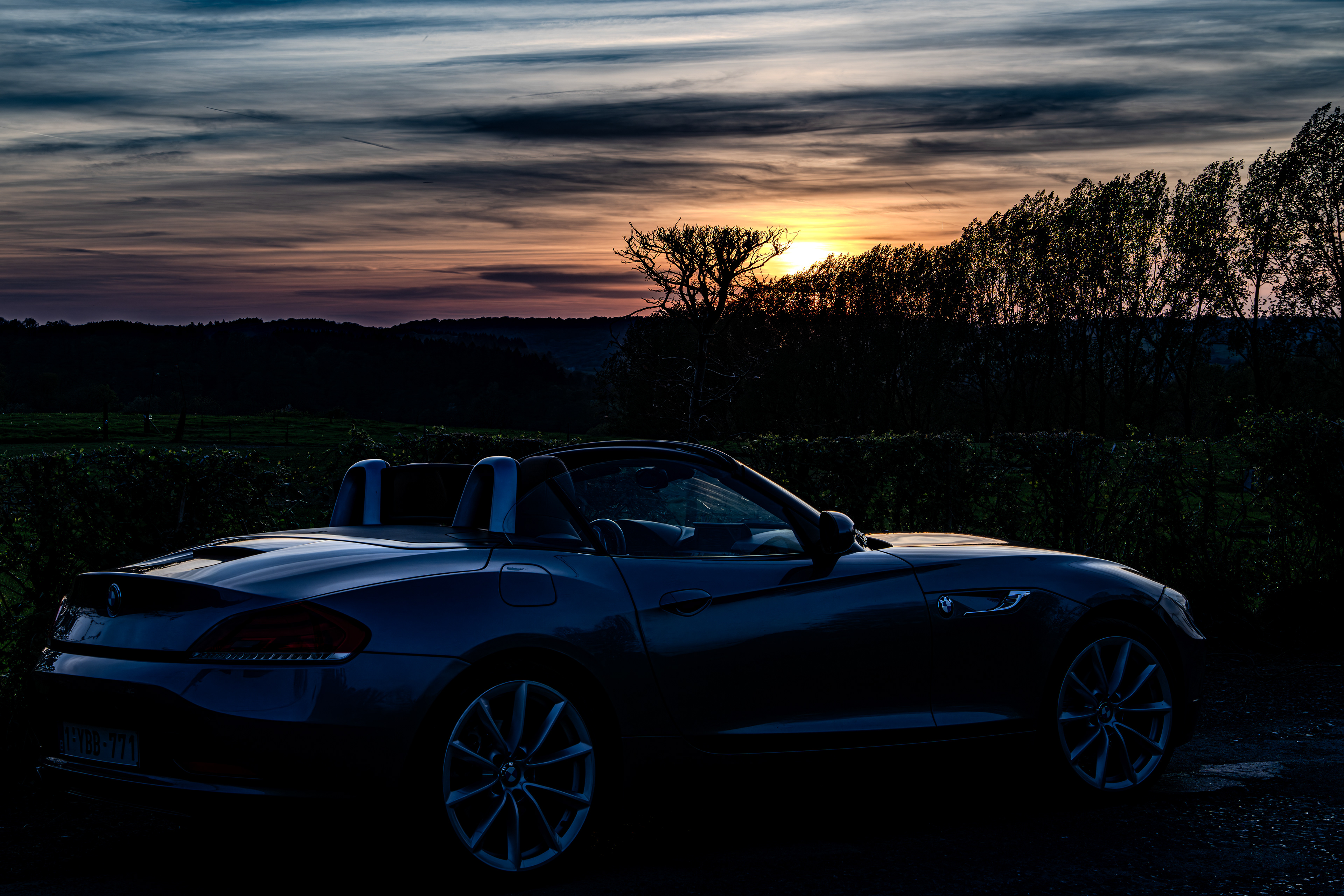 NEOBS - Michel Simonis - Car Detail