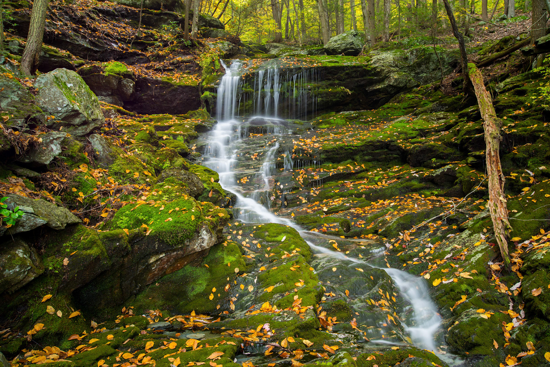 2013-10-05 - Race Brook Falls