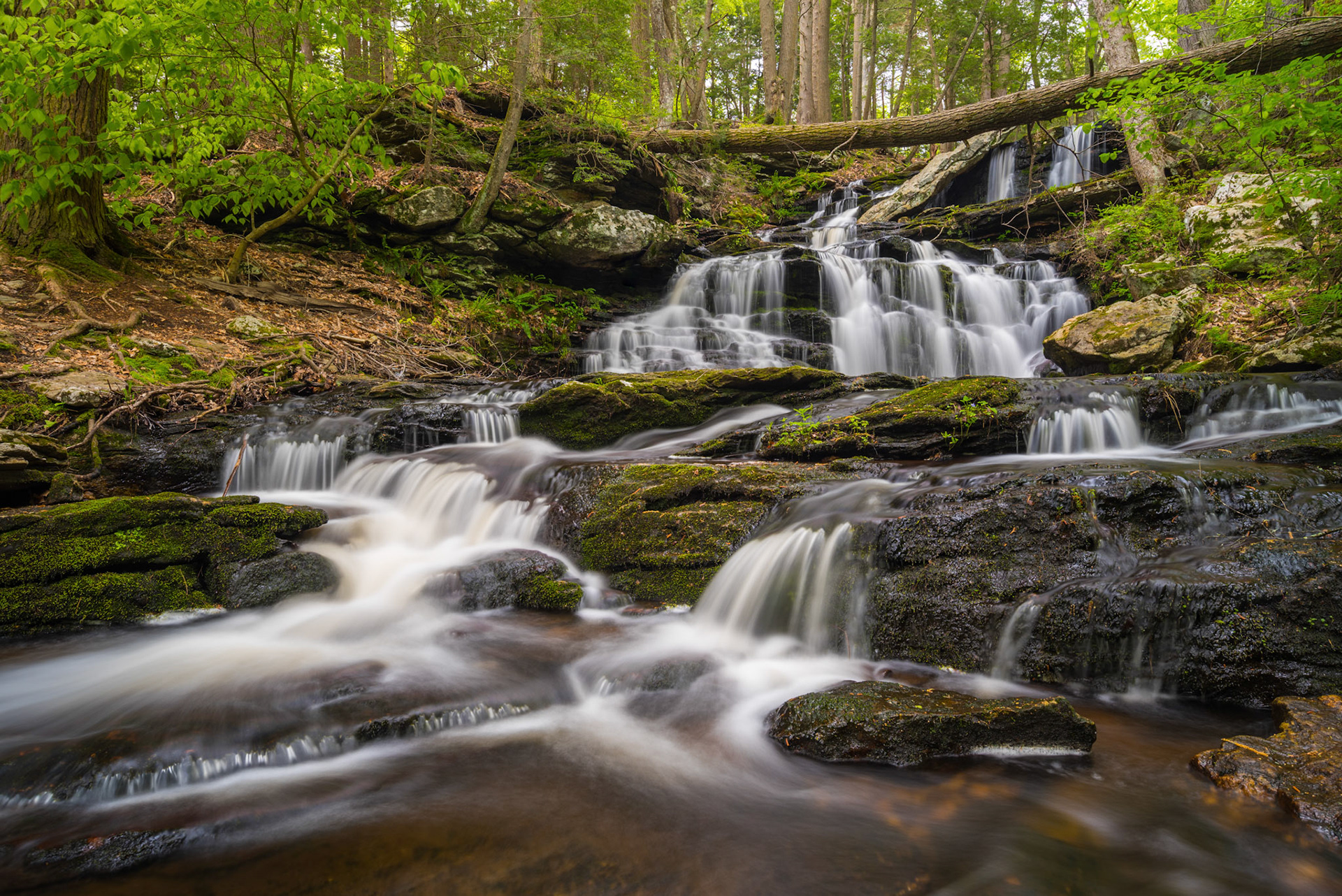 2019-05-19 - Day Pond Falls