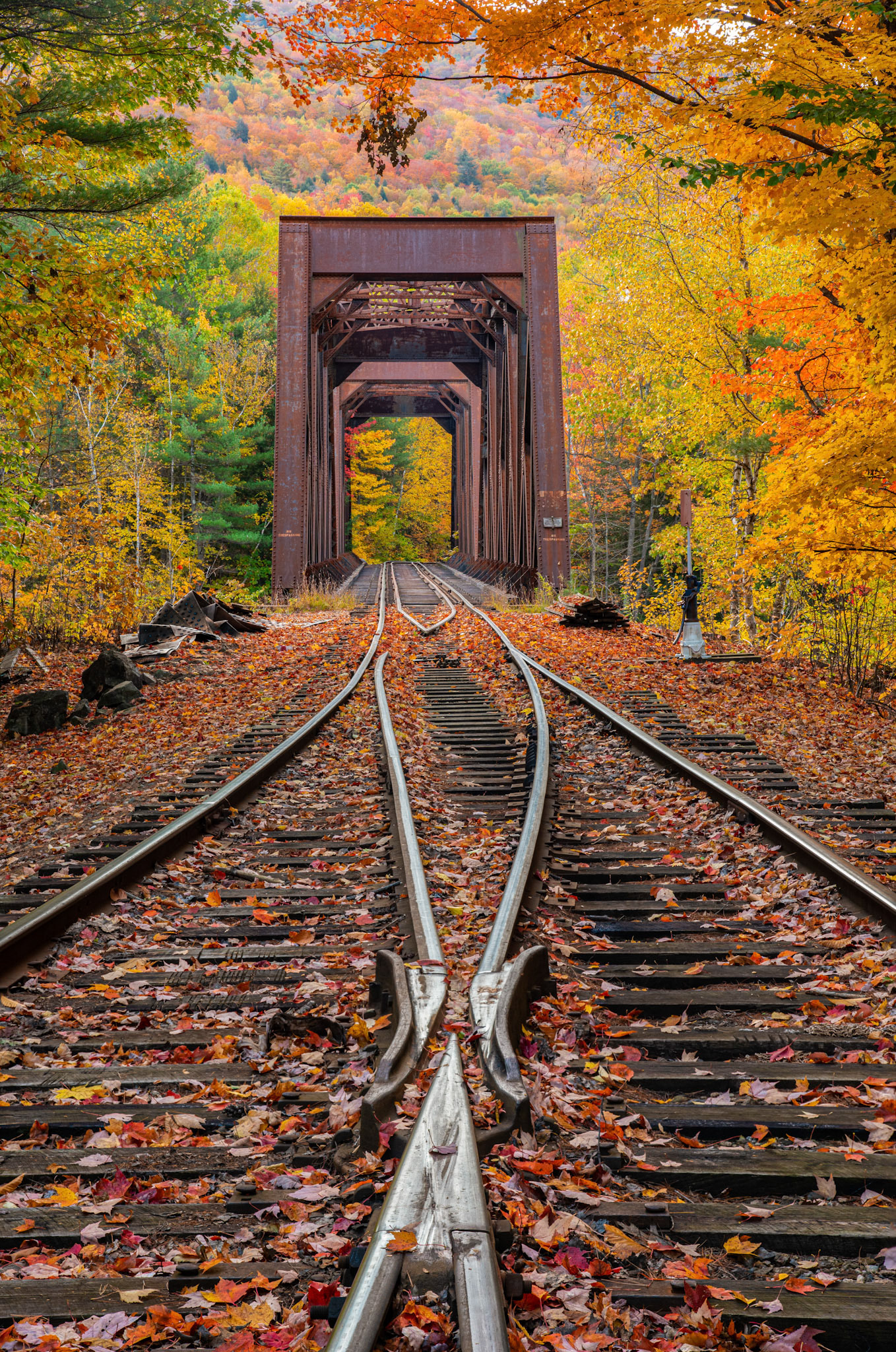 2019-10-14 - Roots Trestle