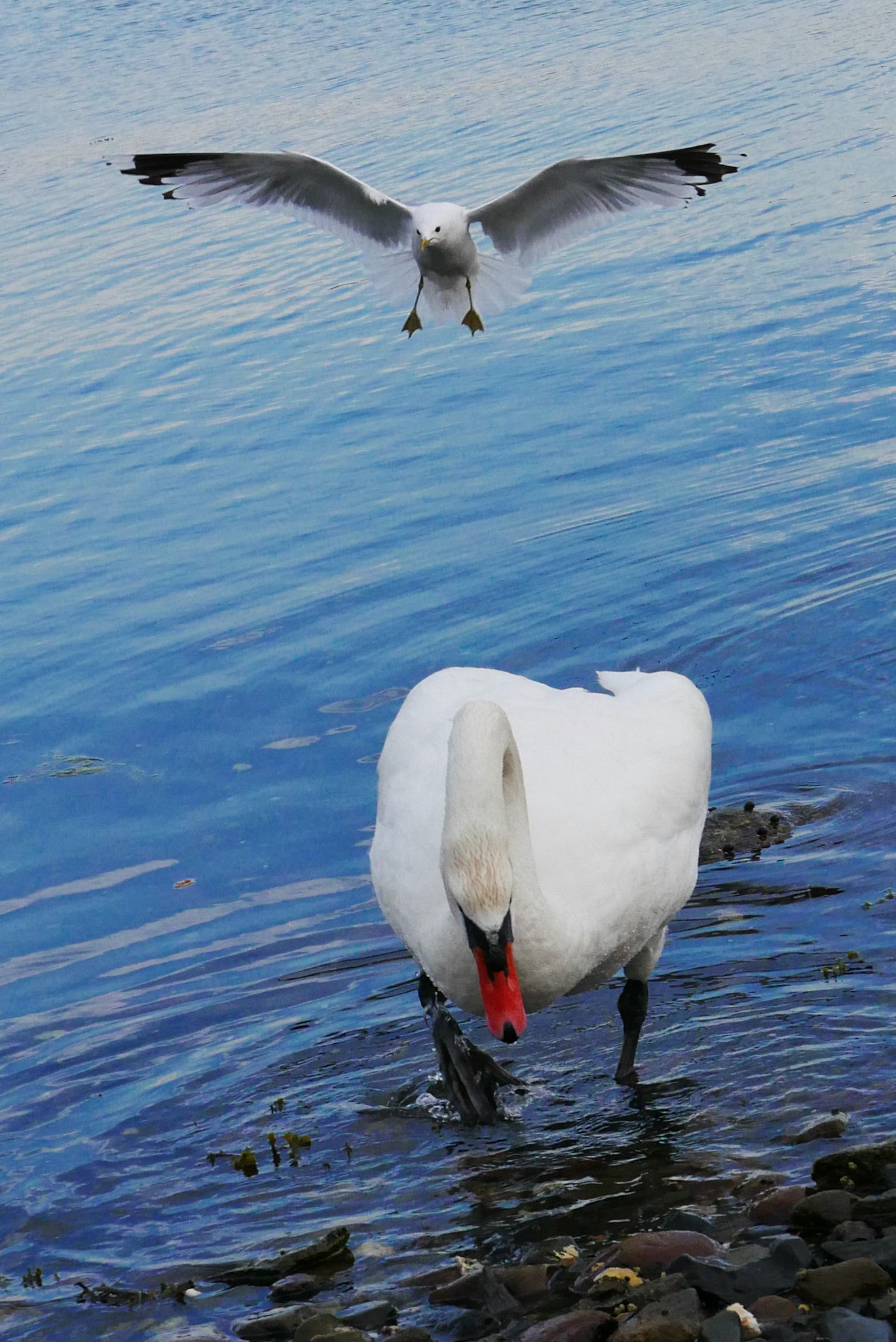 Processed With Darkroom