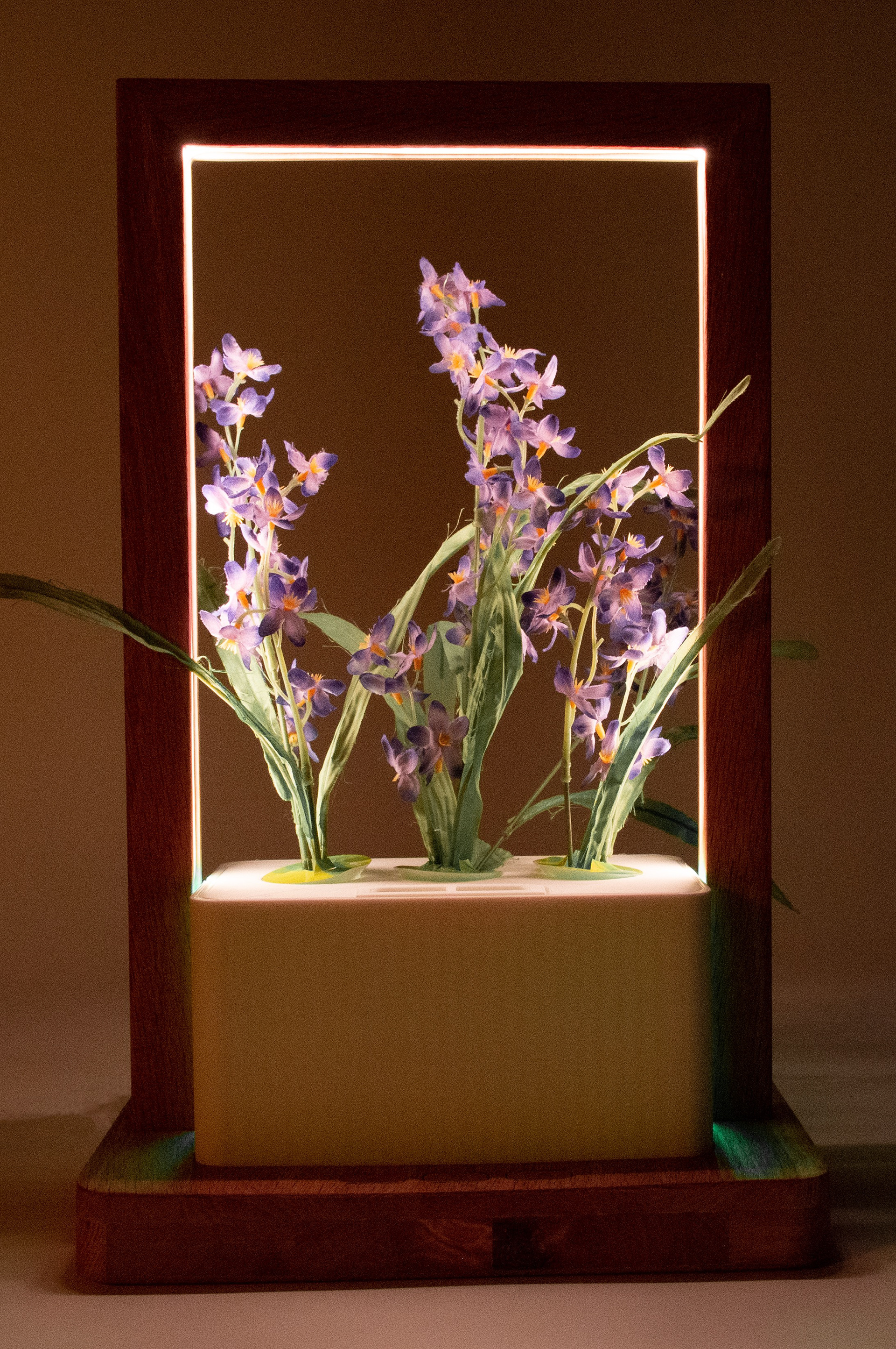 Ambient Light ON