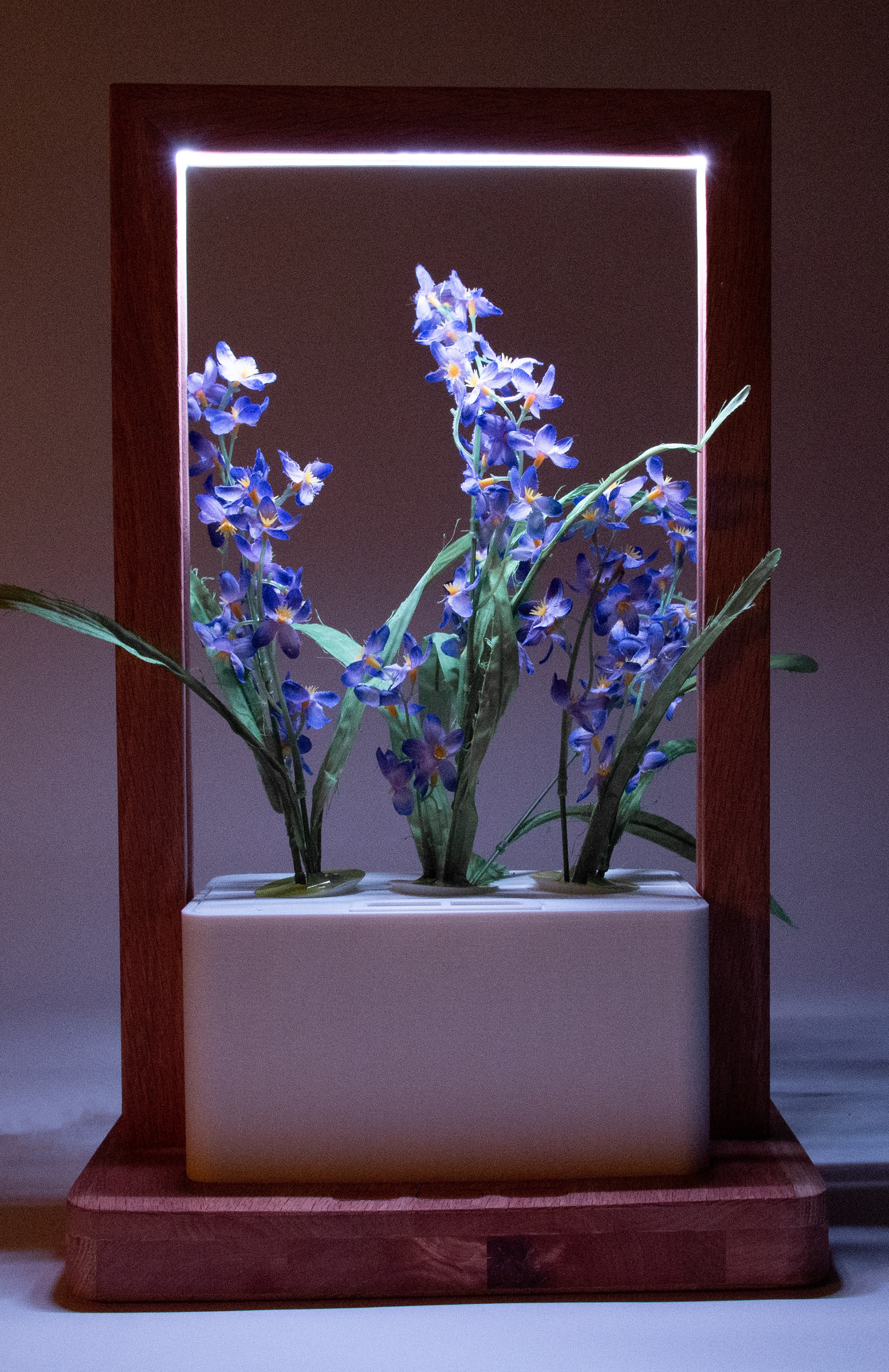 Grow Light ON