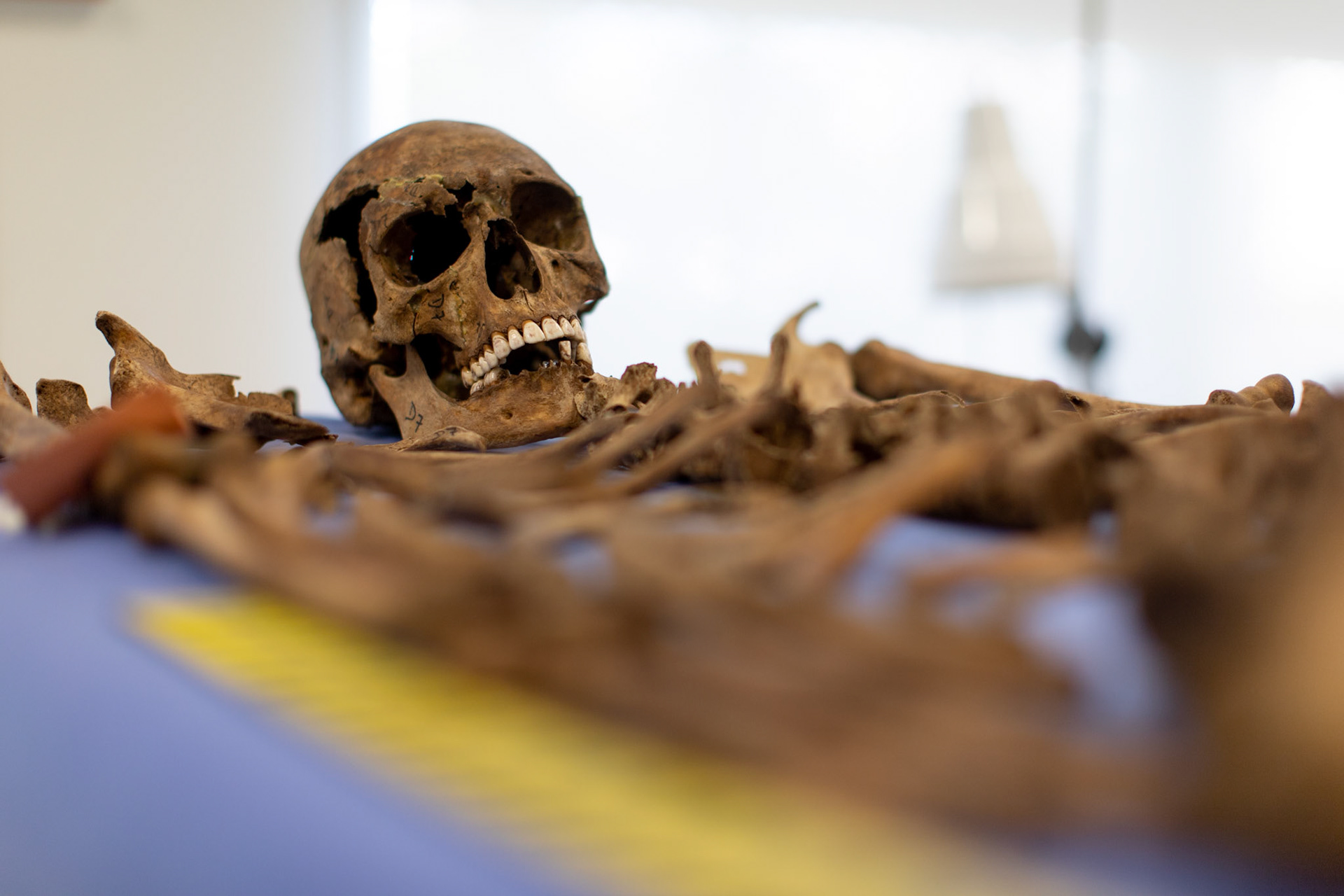 Remains of unidentified missing persons  at the Argentine Anthropology Forensic team’s Laboratory  in the City of Buenos Aires, Argentina.