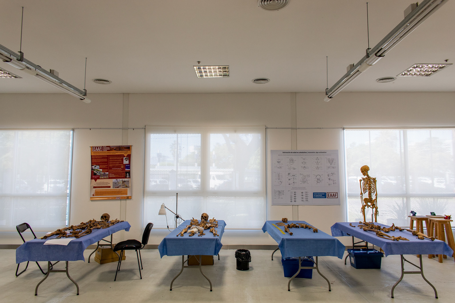 Remains of unidentified missing persons  at the Argentine Anthropology Forensic team’s Laboratory  in the City of Buenos Aires, Argentina.