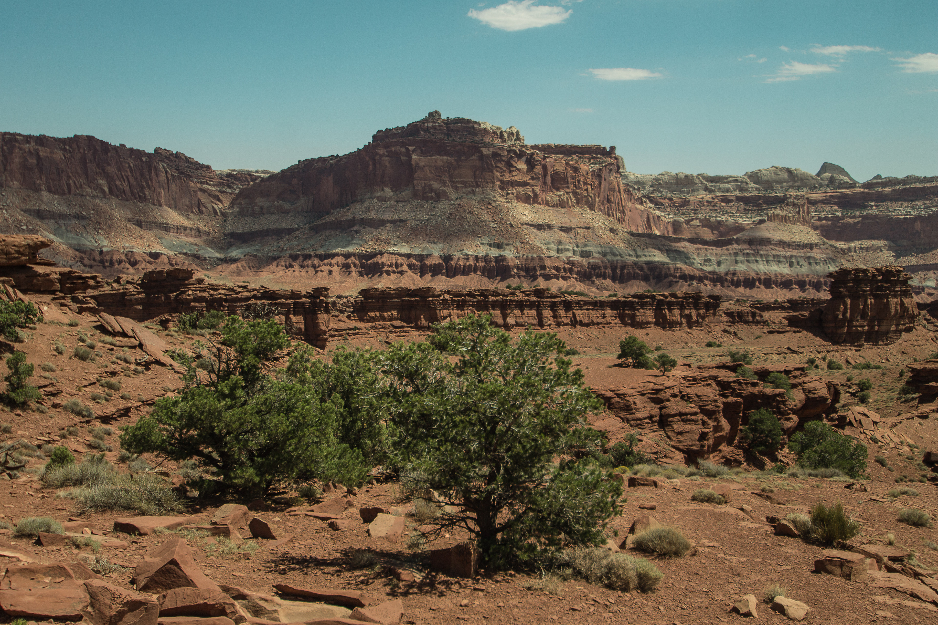 capitol reef national park // utah