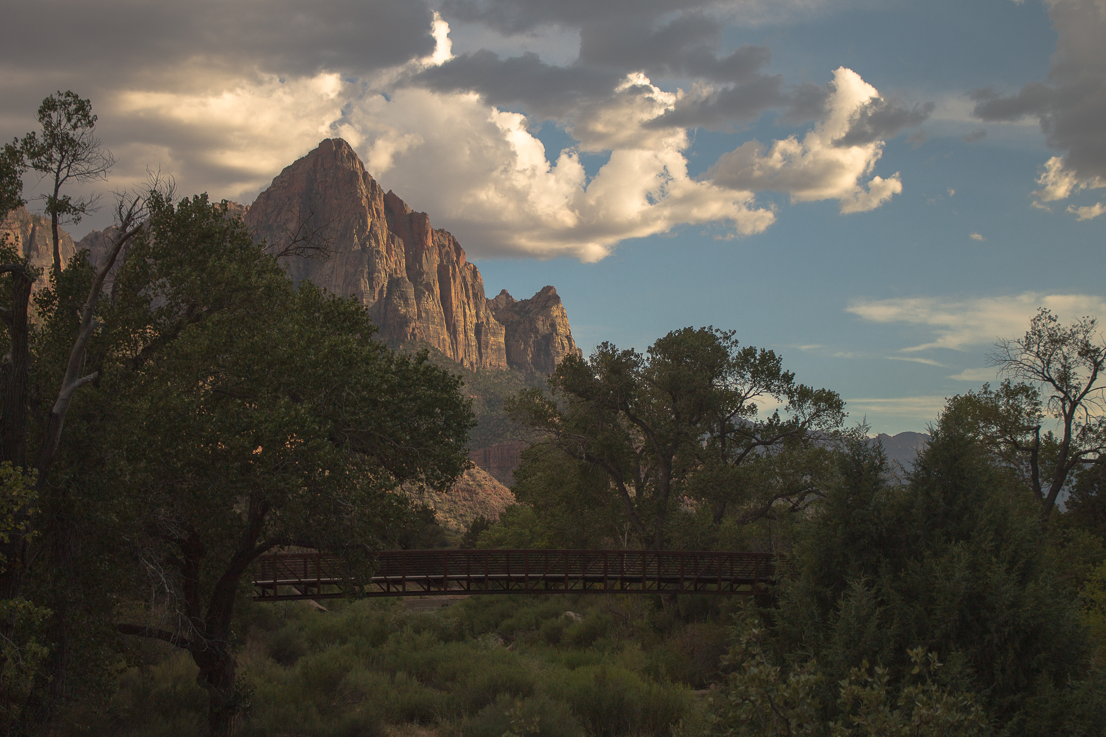 zion national park // utah