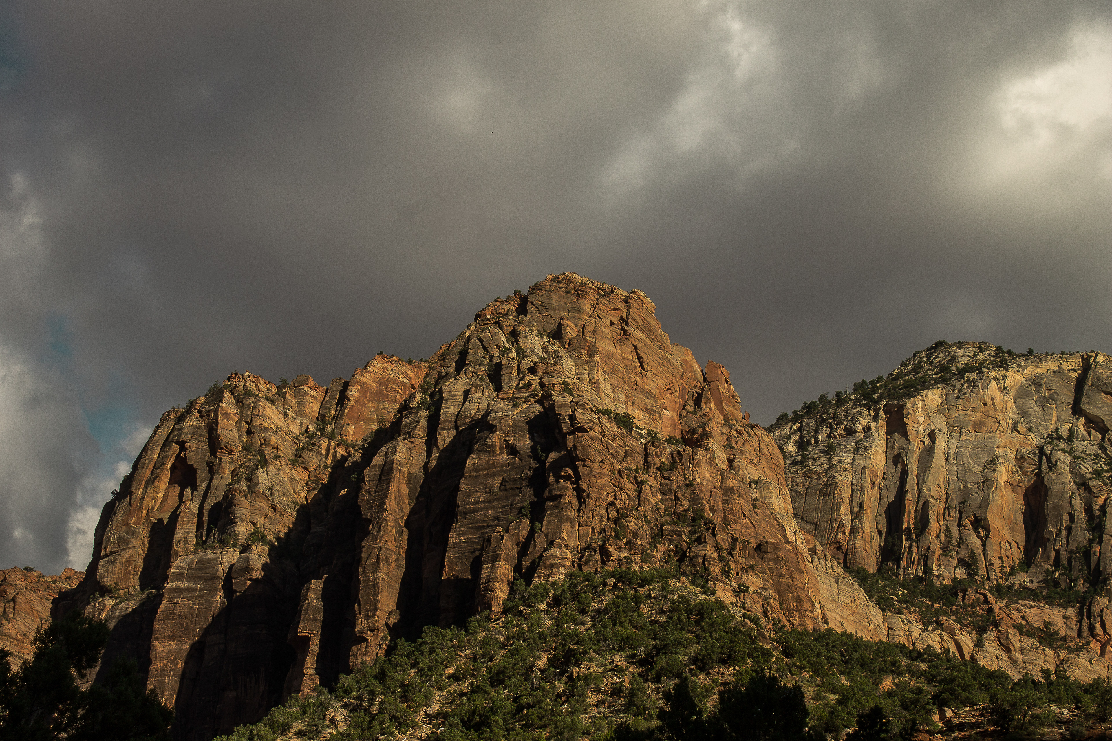 zion national park // utah