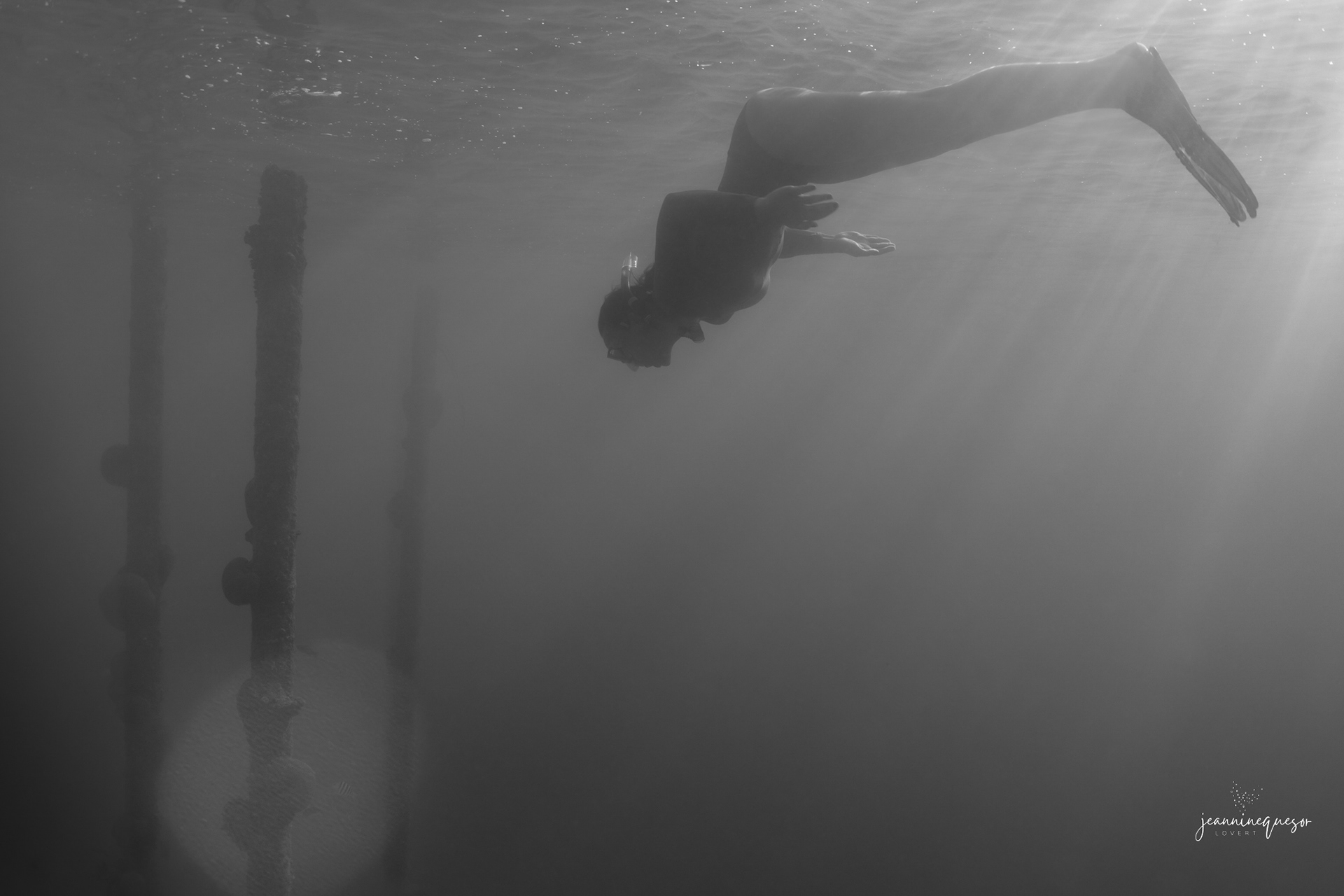 kuriosidat - curiosity, Curaçao, 2023