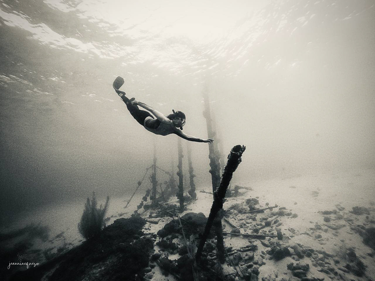perseveransia - perseverance, Curaçao, 2021