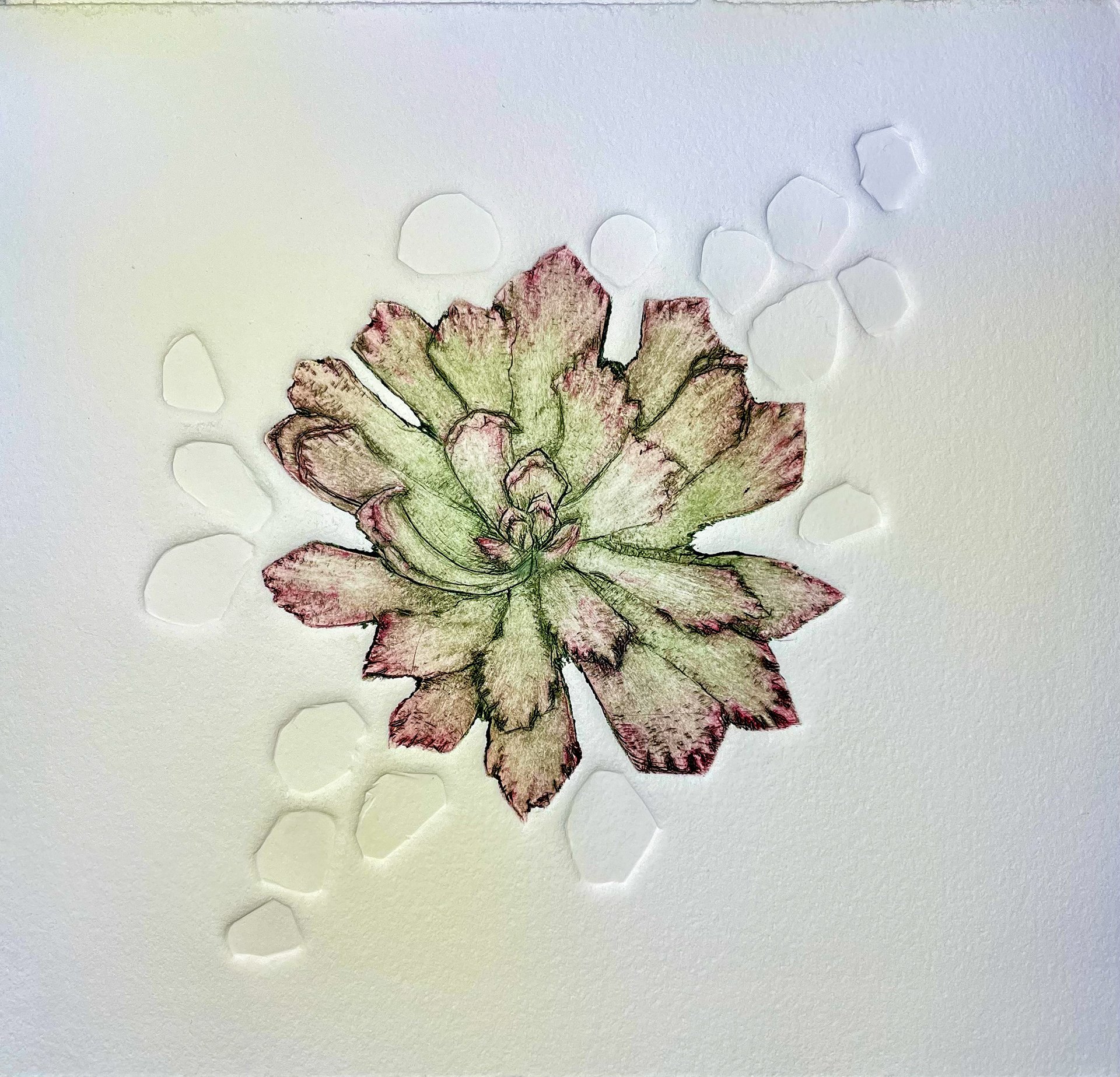 “Eschevaria” / Drypoint with Embossment / 2023