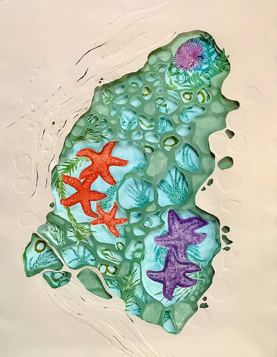 “Tidepools” / 2025 / hand-cut embossmen, hqndcut monotype, drypoint w/ monotype,