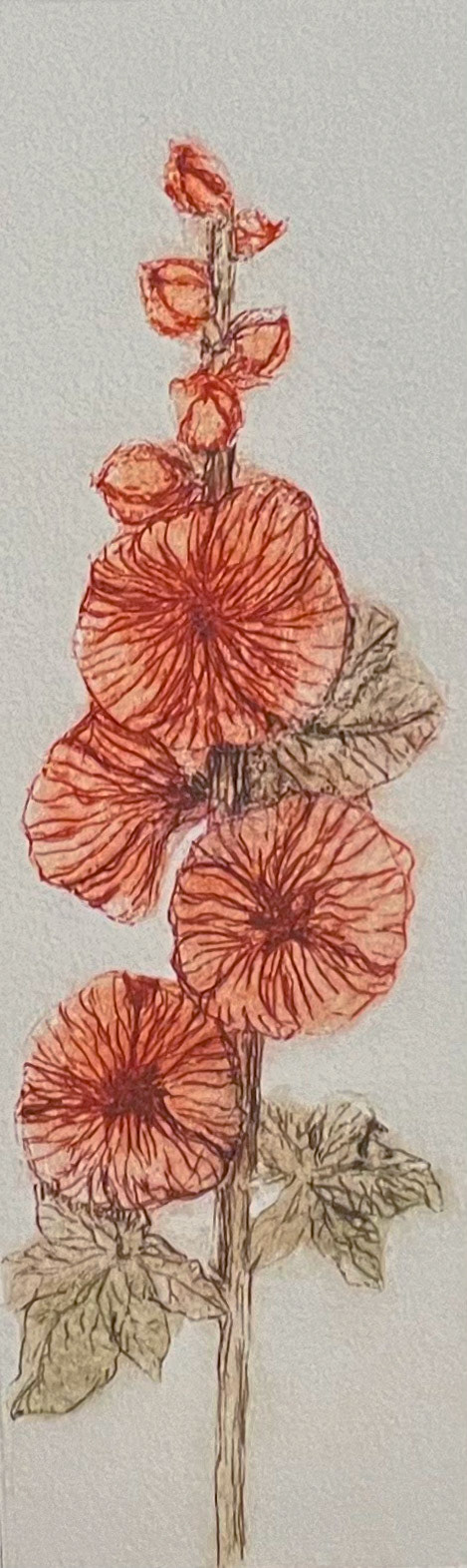“Coneflowers” / Tetrapak Drypoint / 2023