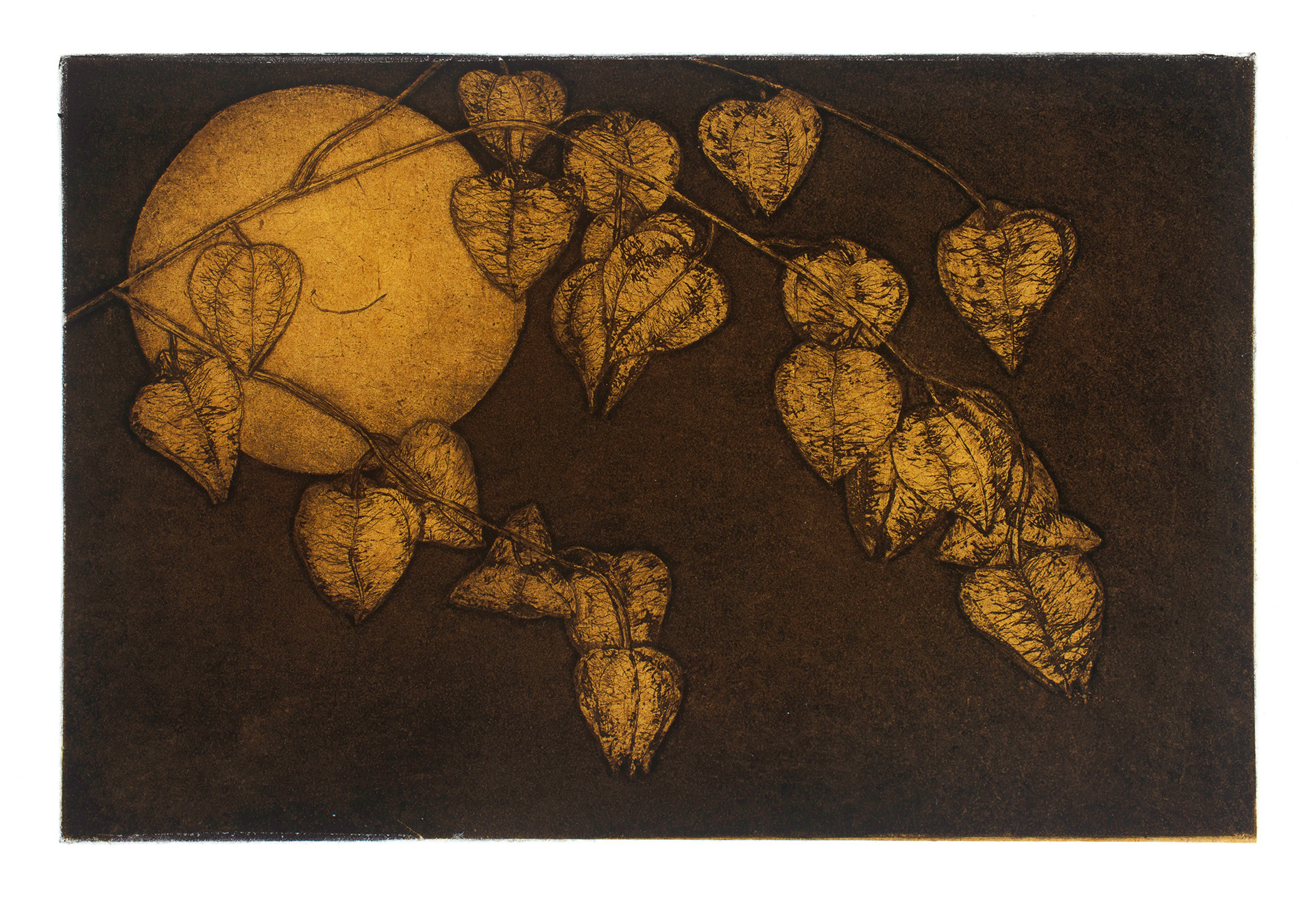 "Posterity" /2018 / Zinc Etching & Drypoint w/ Chine Collé