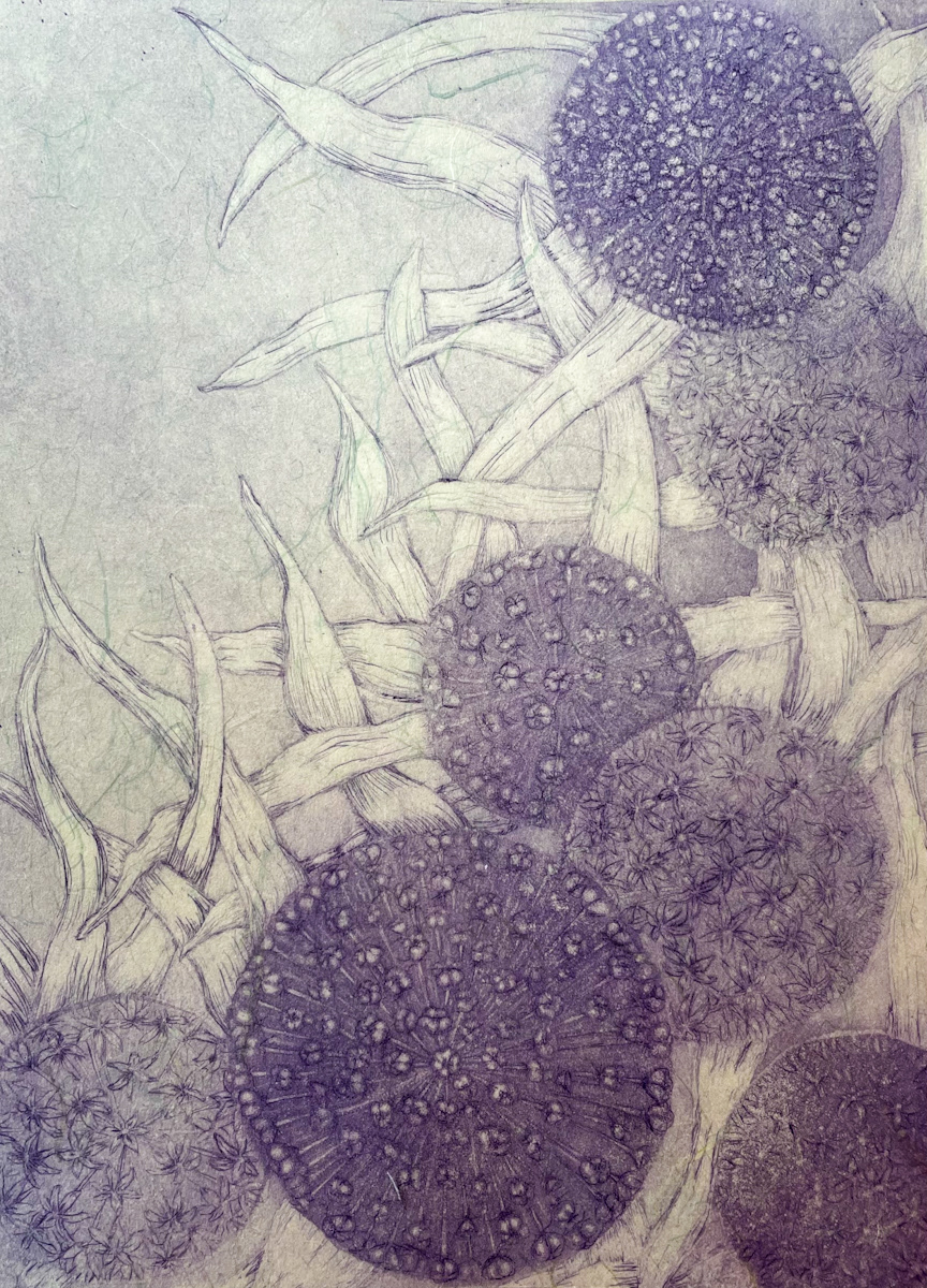 Abundance” / 2021 / Zinc Etching & Drypoint w/ Chine Collè