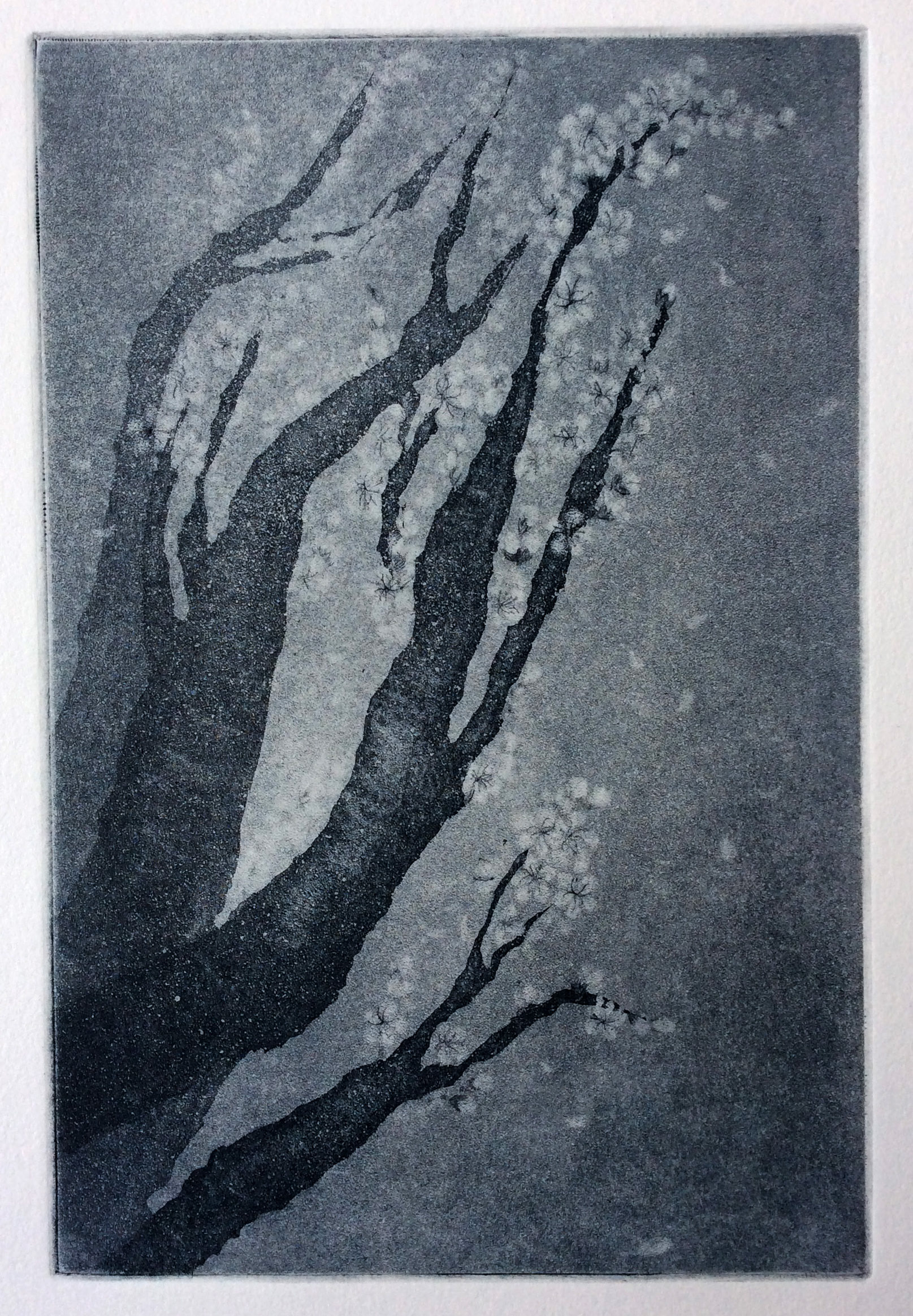"impermanence" / 2019 / Zinc Etching