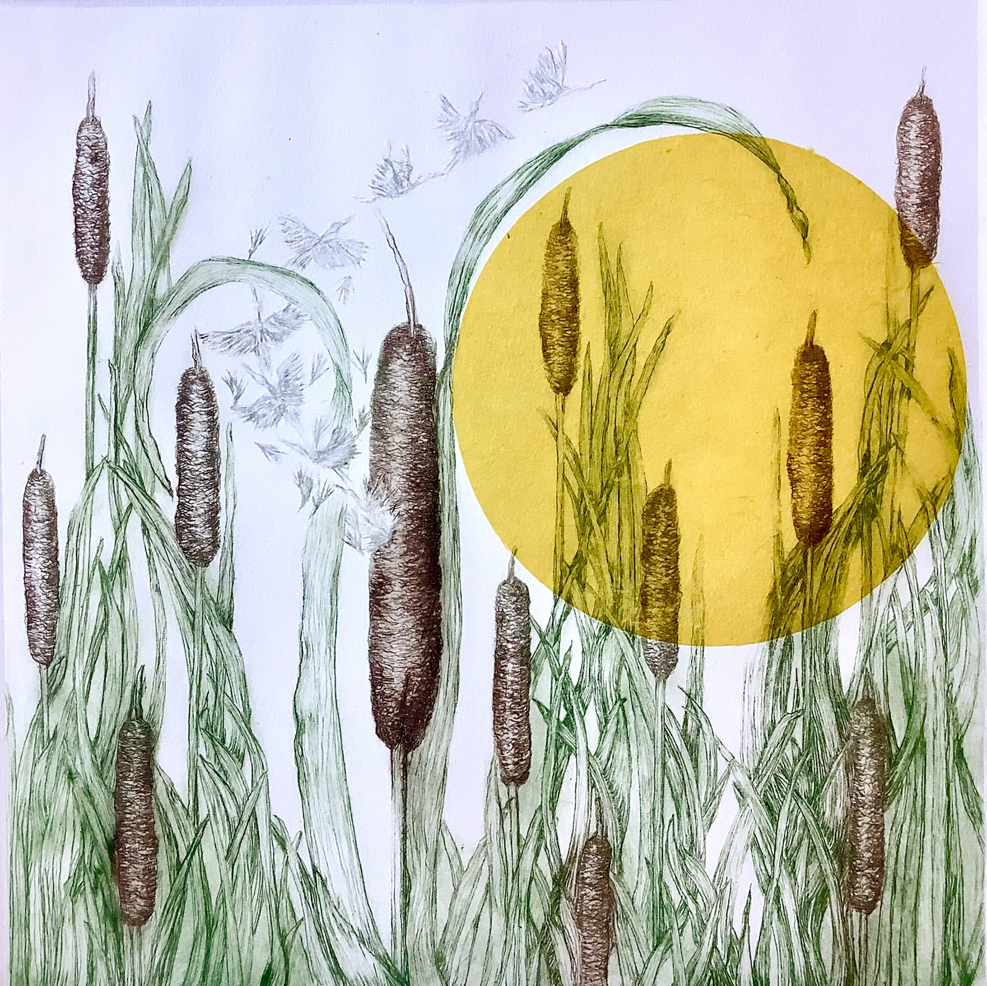 Cattails / 2022 / Drypoint & Engraving w/ Chine Collé