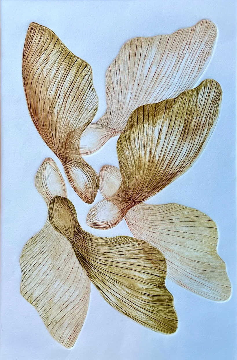 Samara Flourish (Gold Variation) /2022 / Engraving & Drypoint