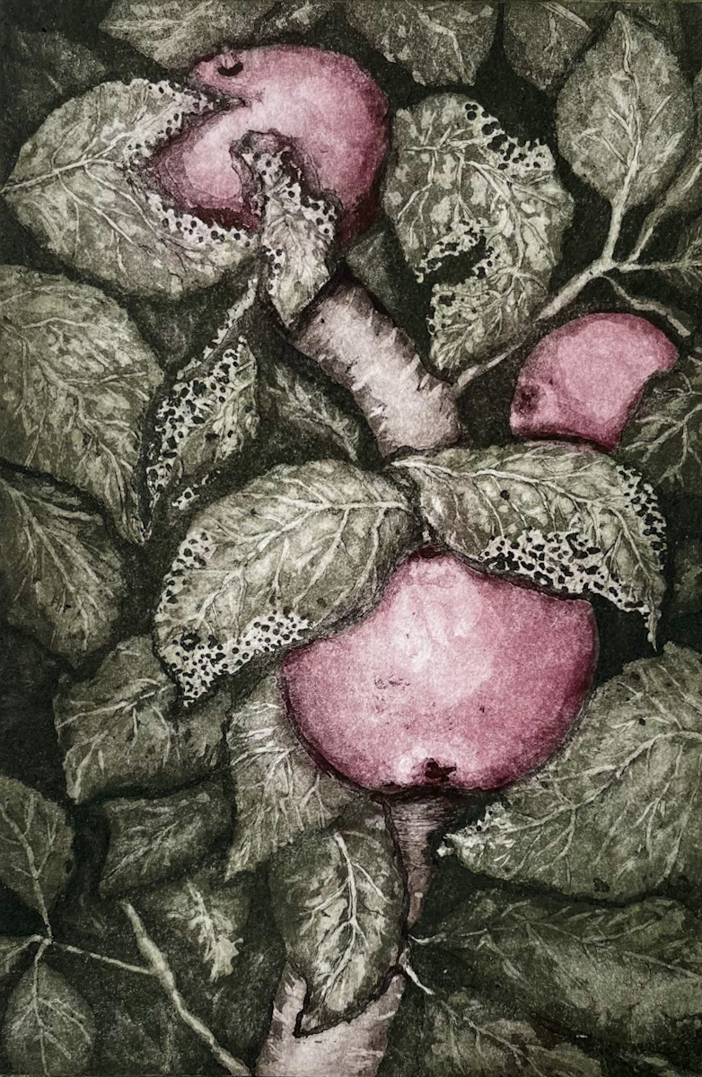 “Offering” / Zinc plate etching & drypoint / 2024
