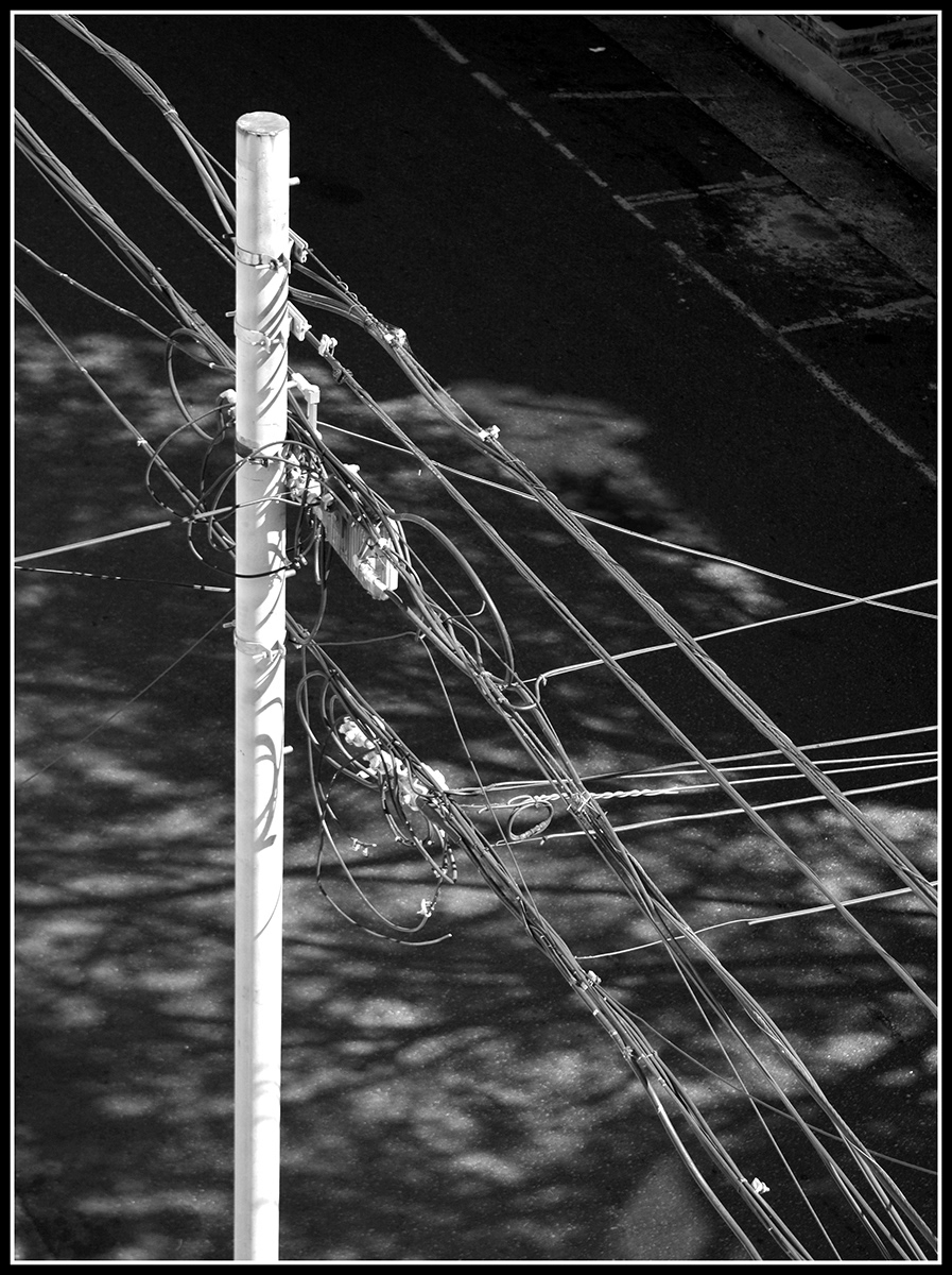 Mención del jurado - Cables
