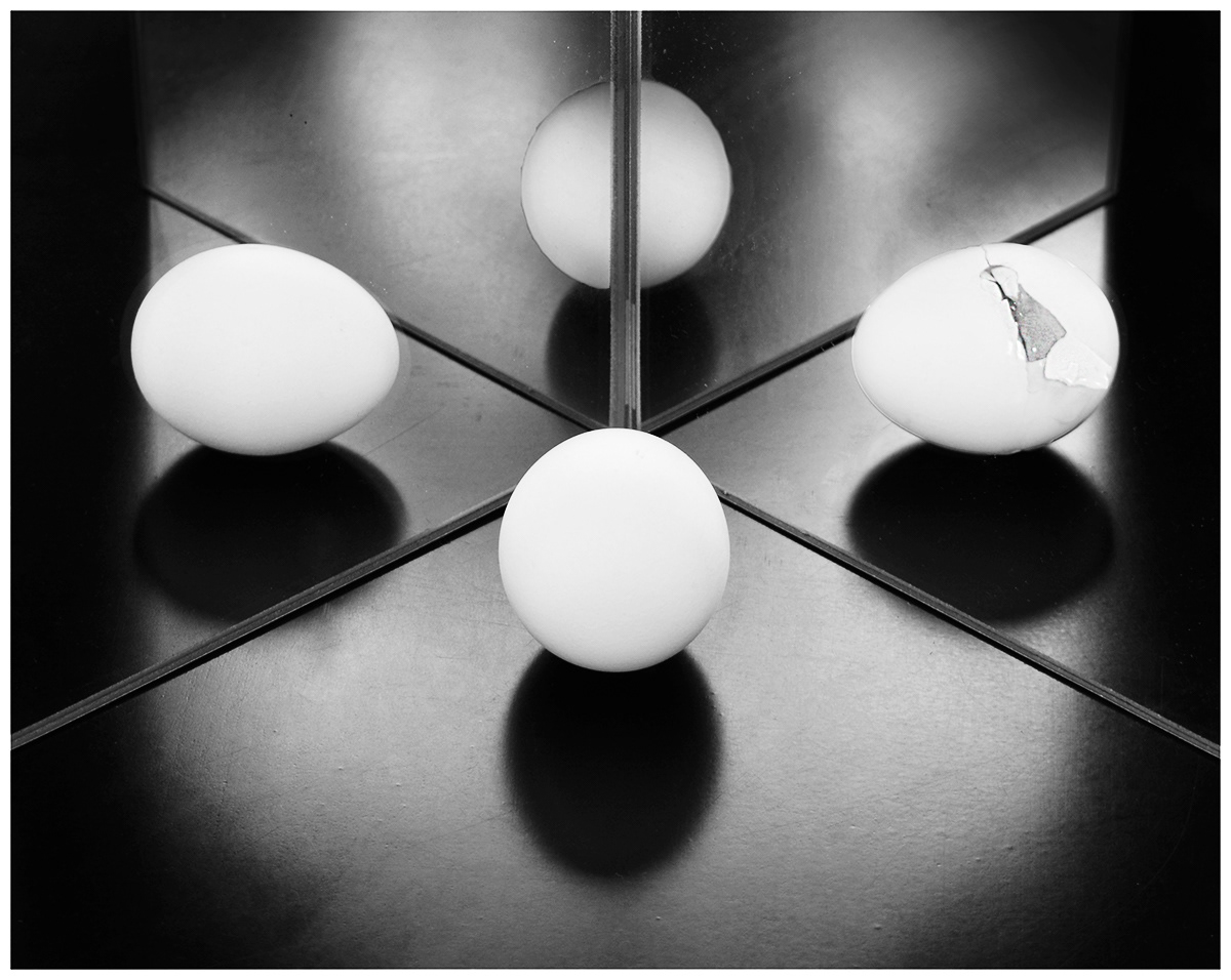 2º Premio - Falso reflejo