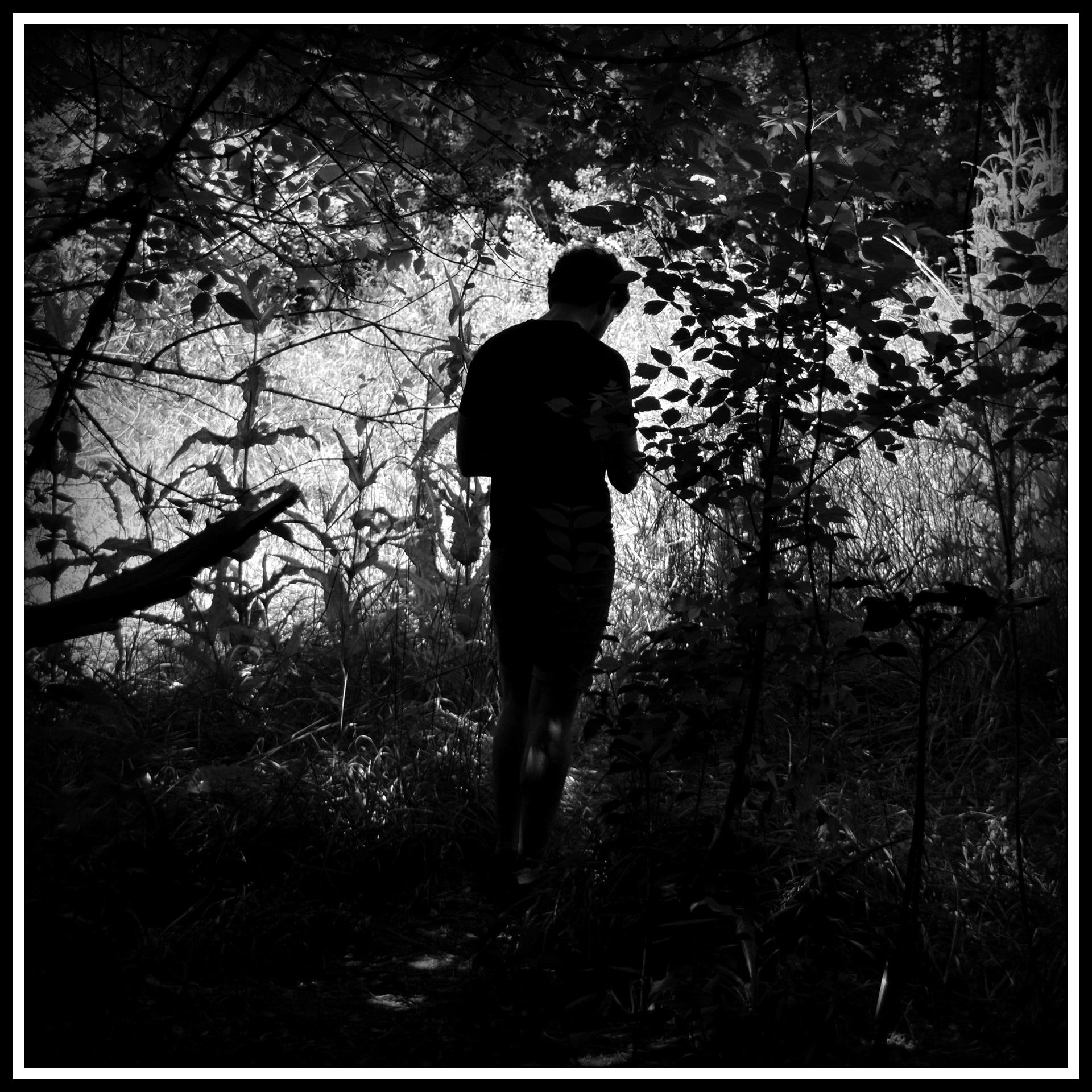 1º Premio + 2º Premio del público - Penumbra