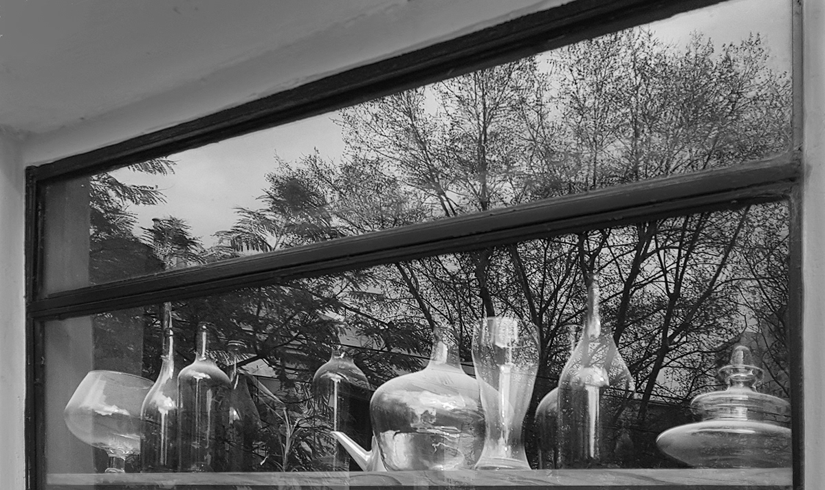 Mención de Jurado - Reflejo en la ventana