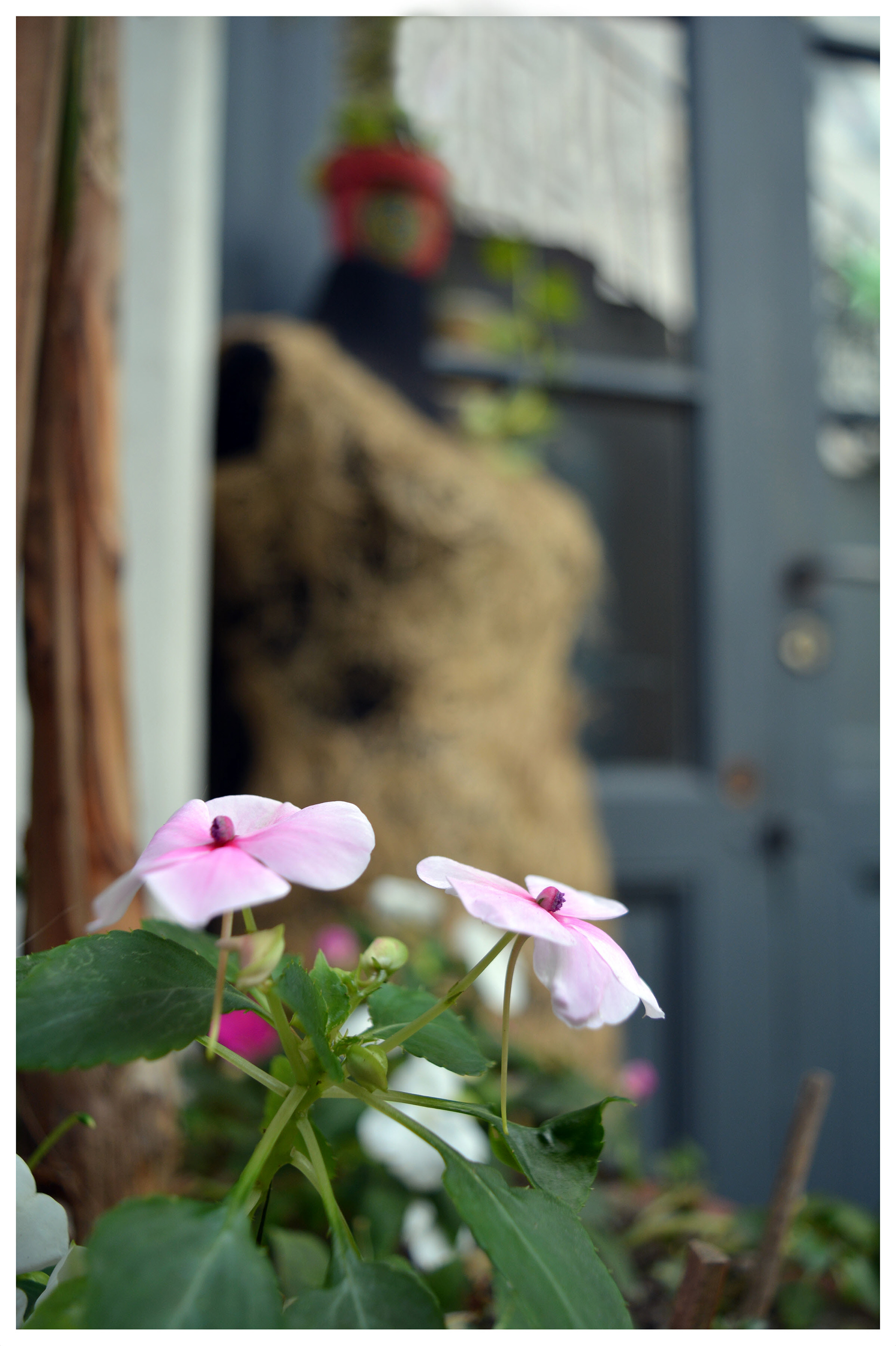 Mención especial + 3º Premio del público - Vestido de Primavera