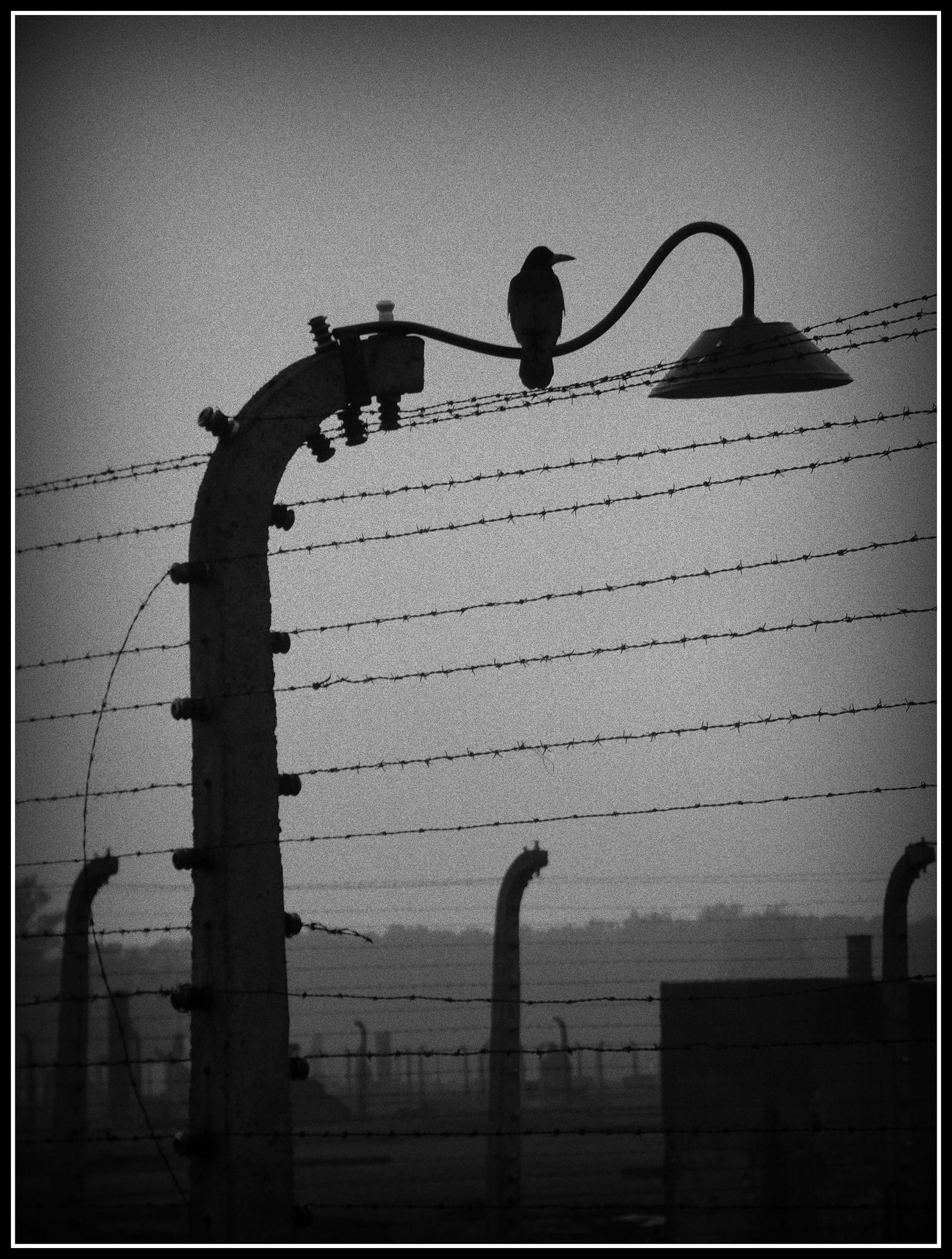 3ª Mención - Nunca más