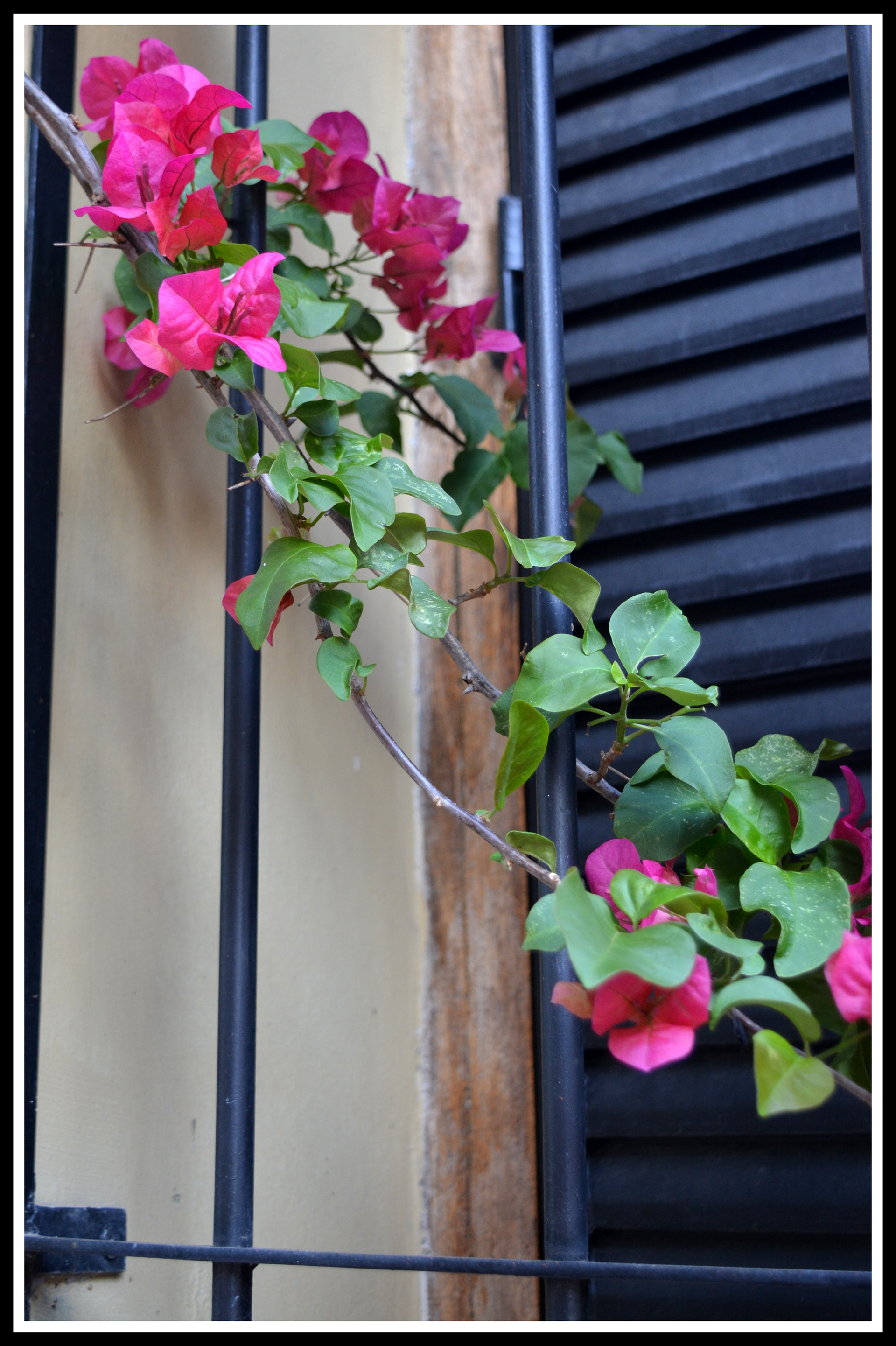 1ª Mención - Deja que entre