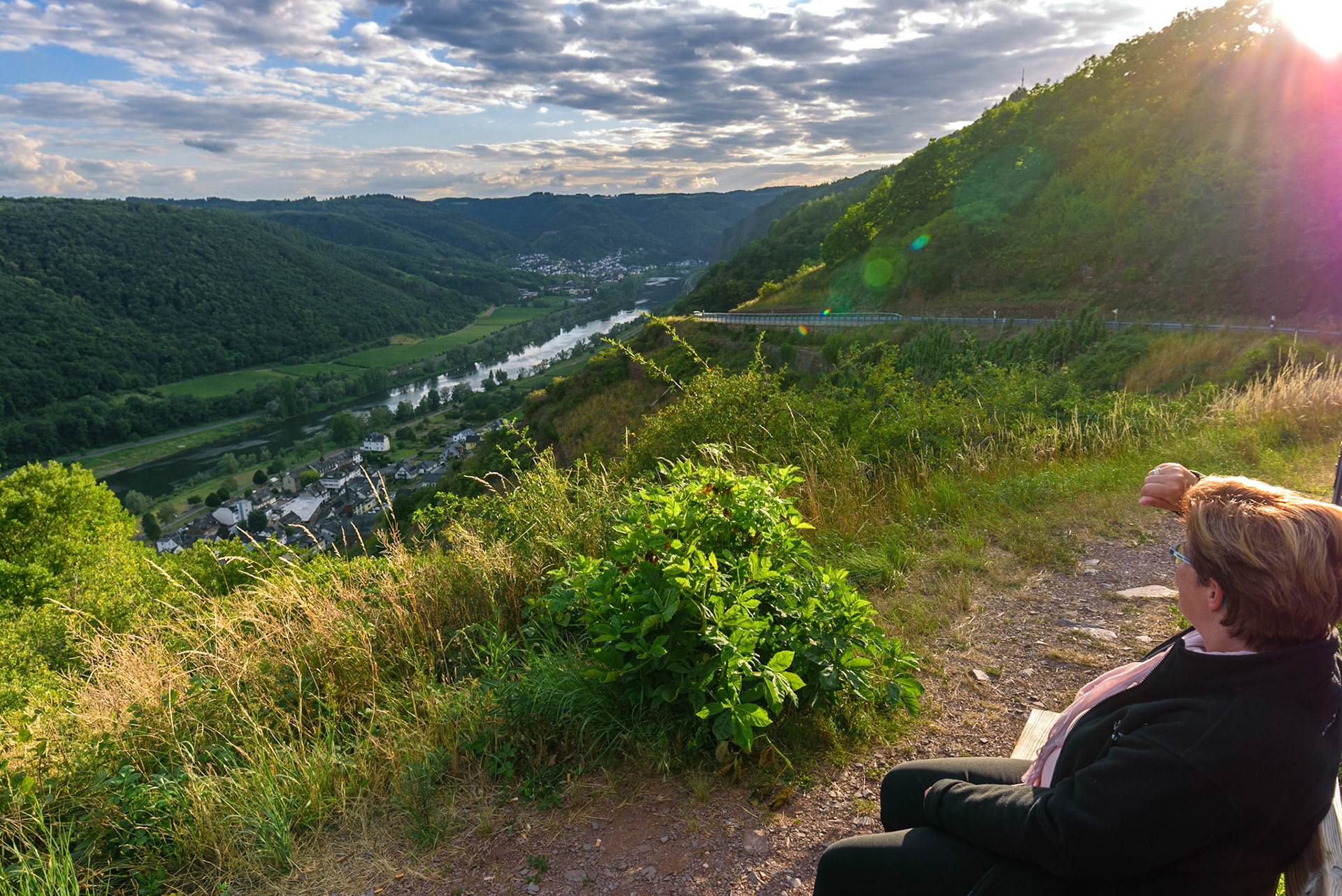 Blick über die Mosel