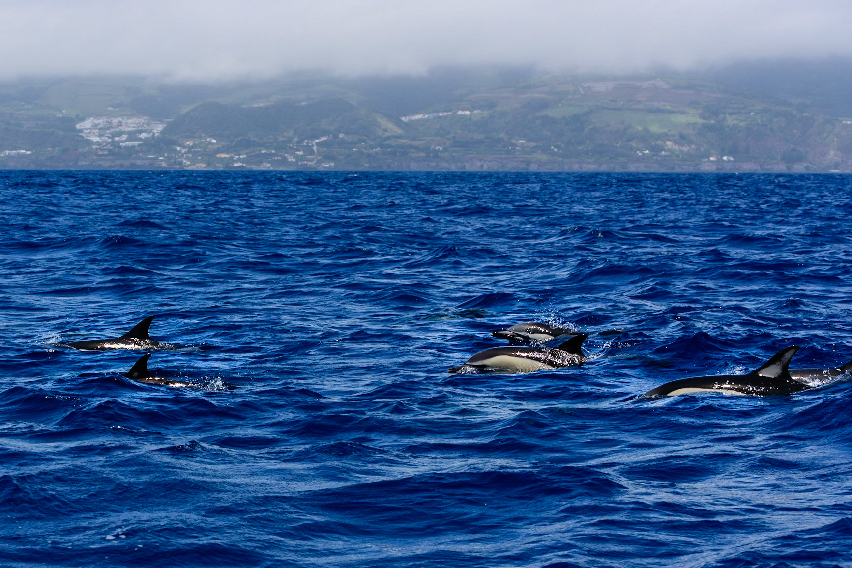 Foto von Thomas Schulze